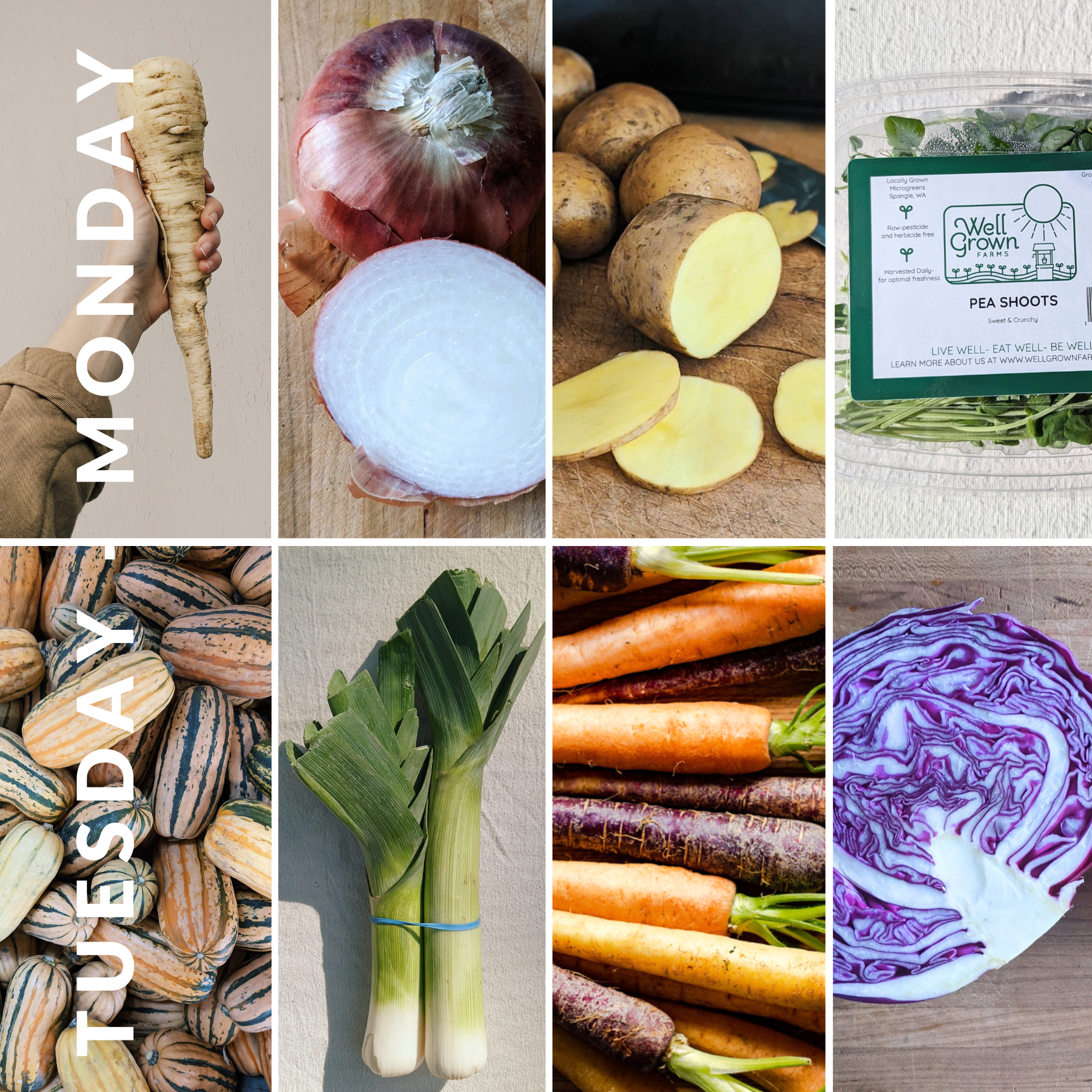 February 17th - February 23rd