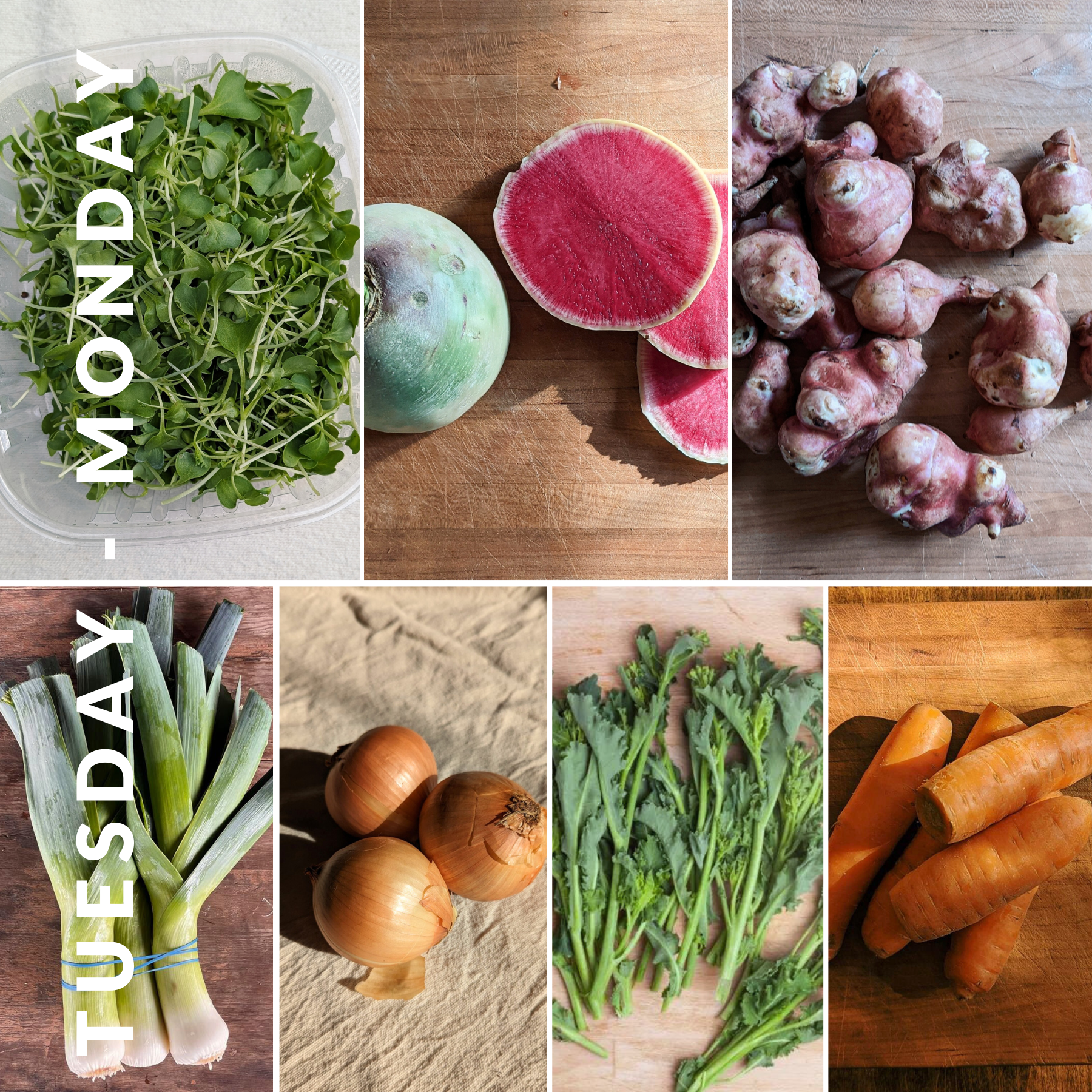 February 24th - March 2nd