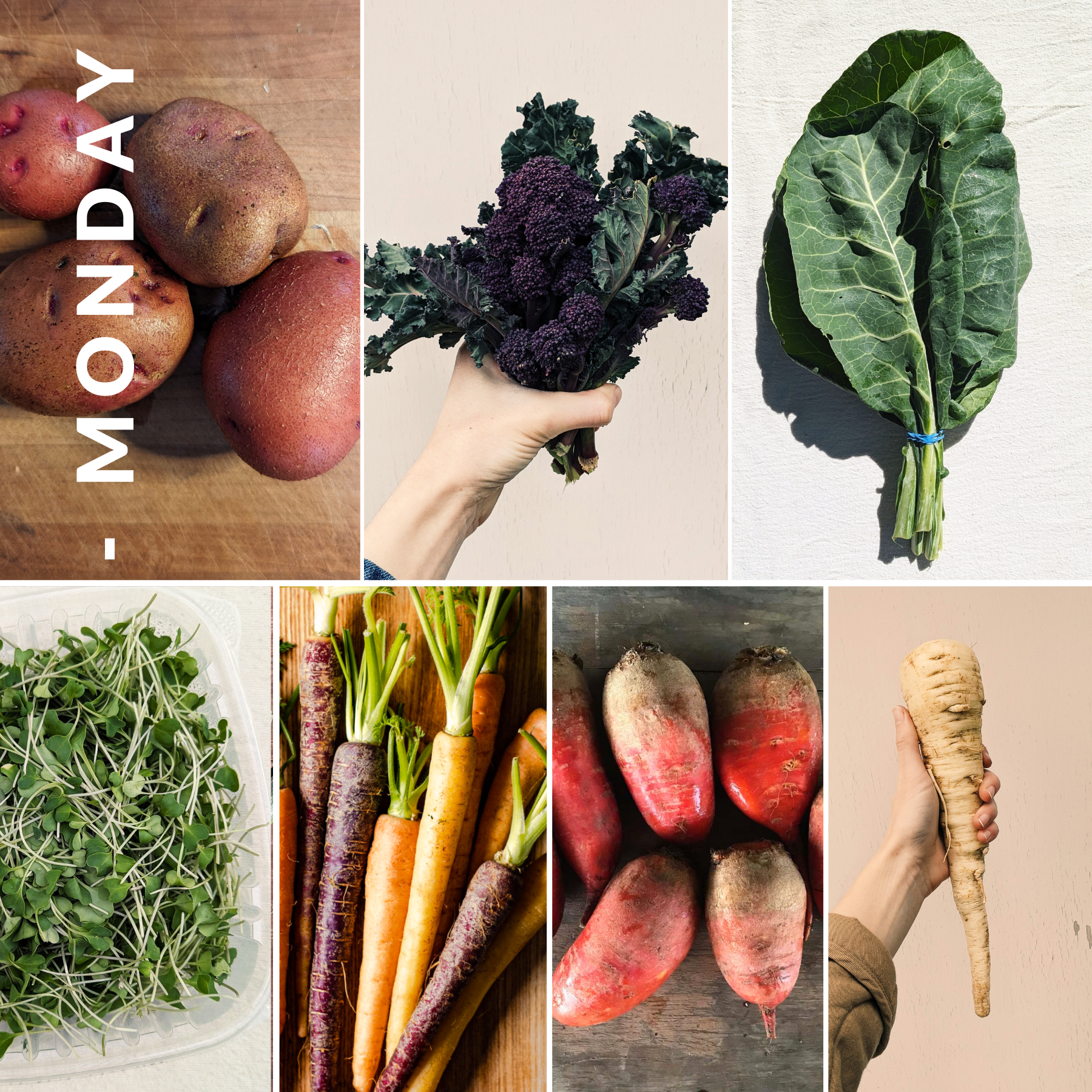 March 10th - March 16th