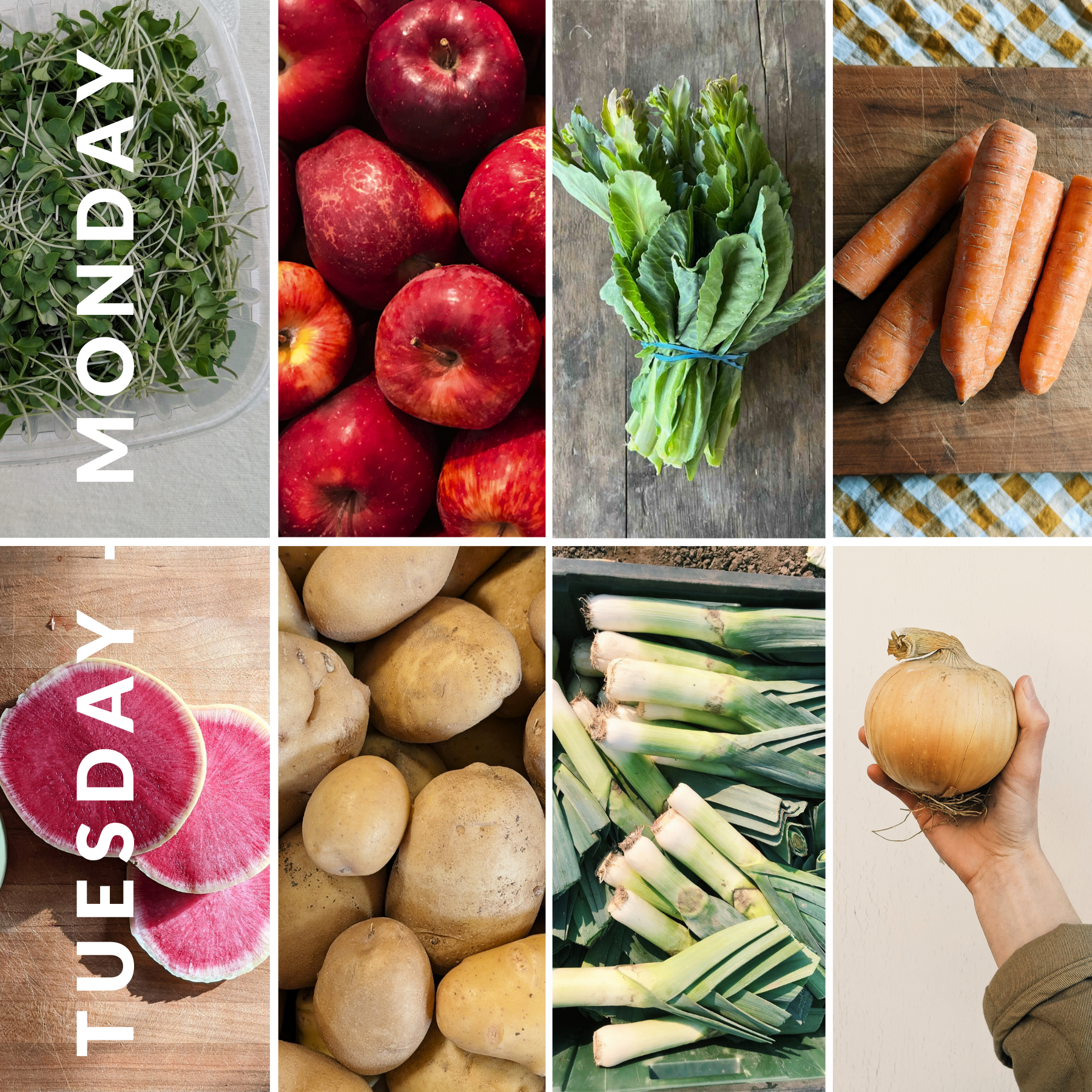 March 3rd - March 9th