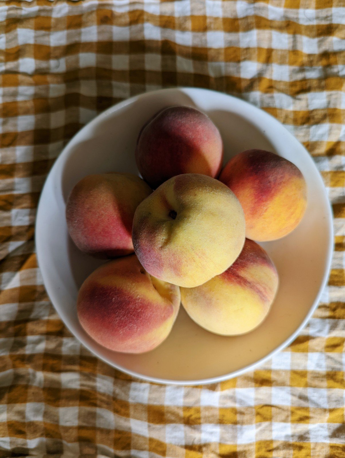 peaches yellow opma.jpg