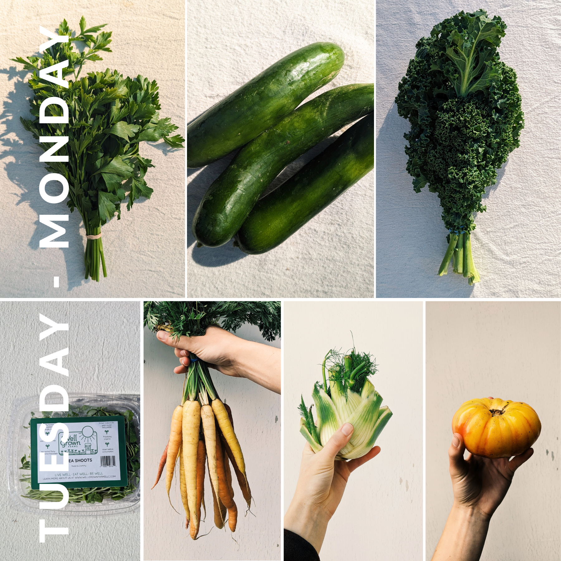 September 30th - October 6th