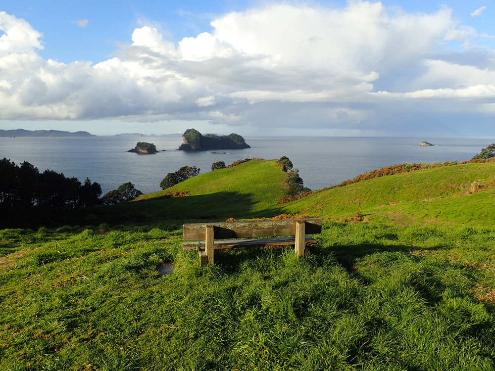 It's hard to take a bad photo in New Zealand