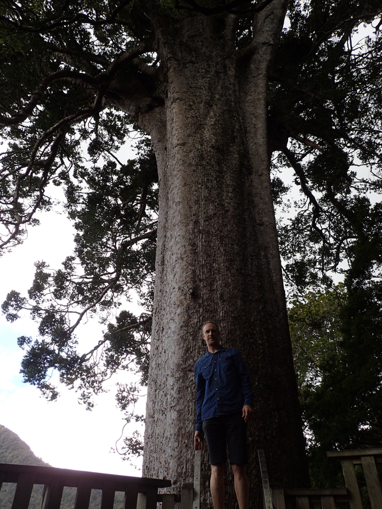 Big tree & me.jpeg