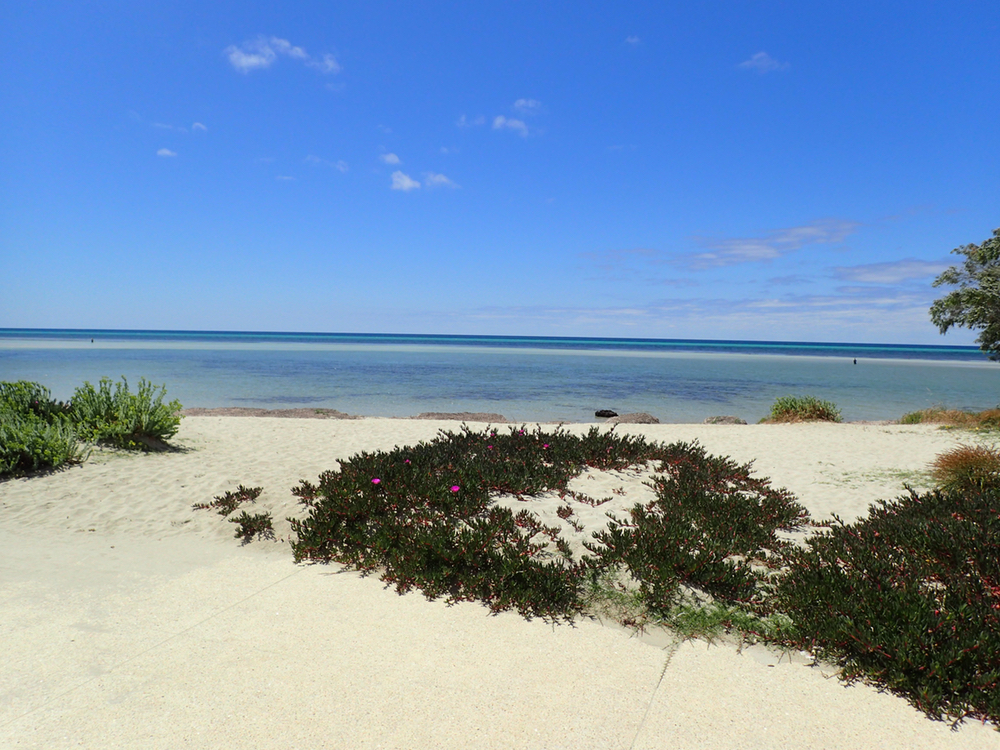 The Beach