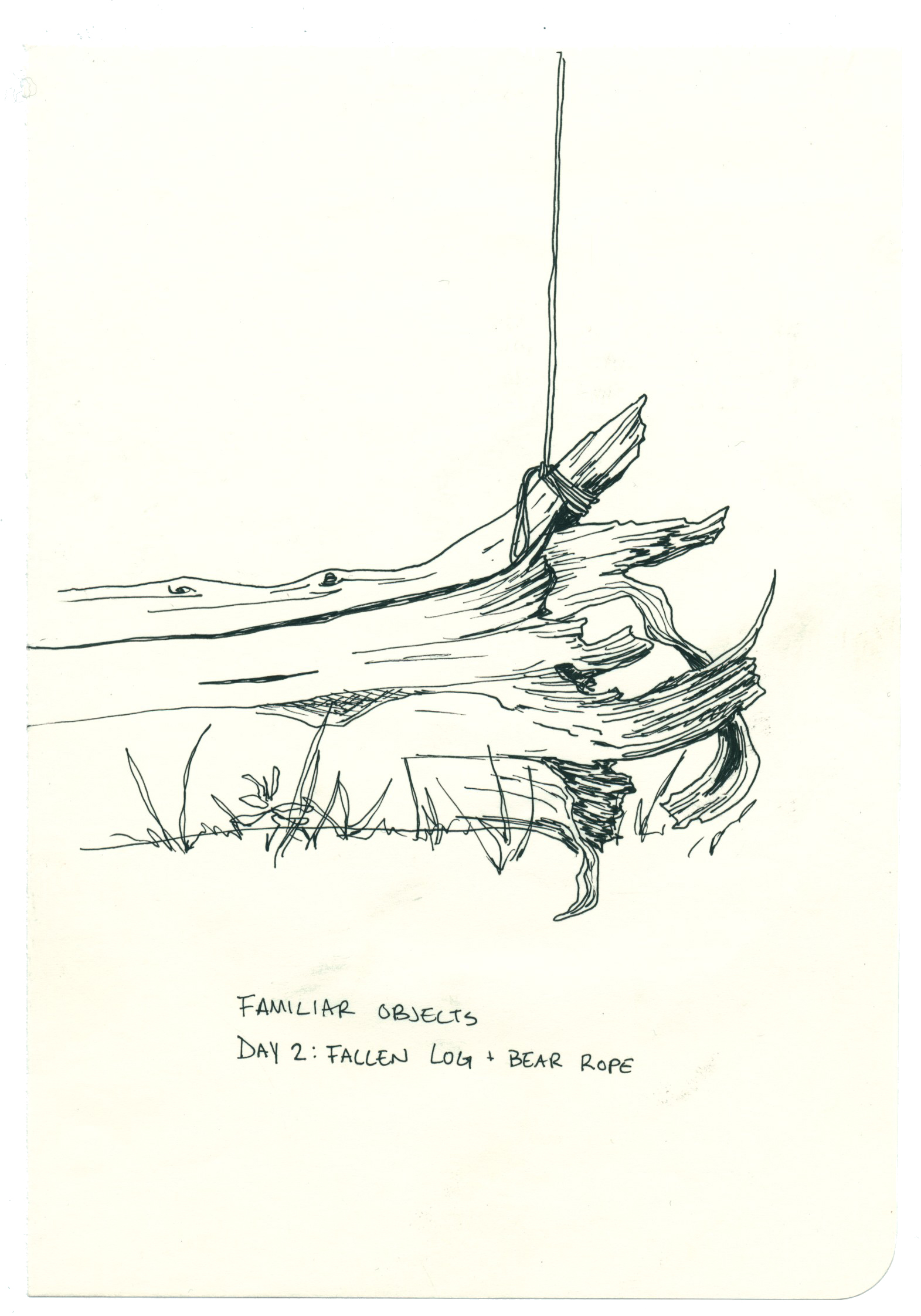 Day 2: Log and Rope