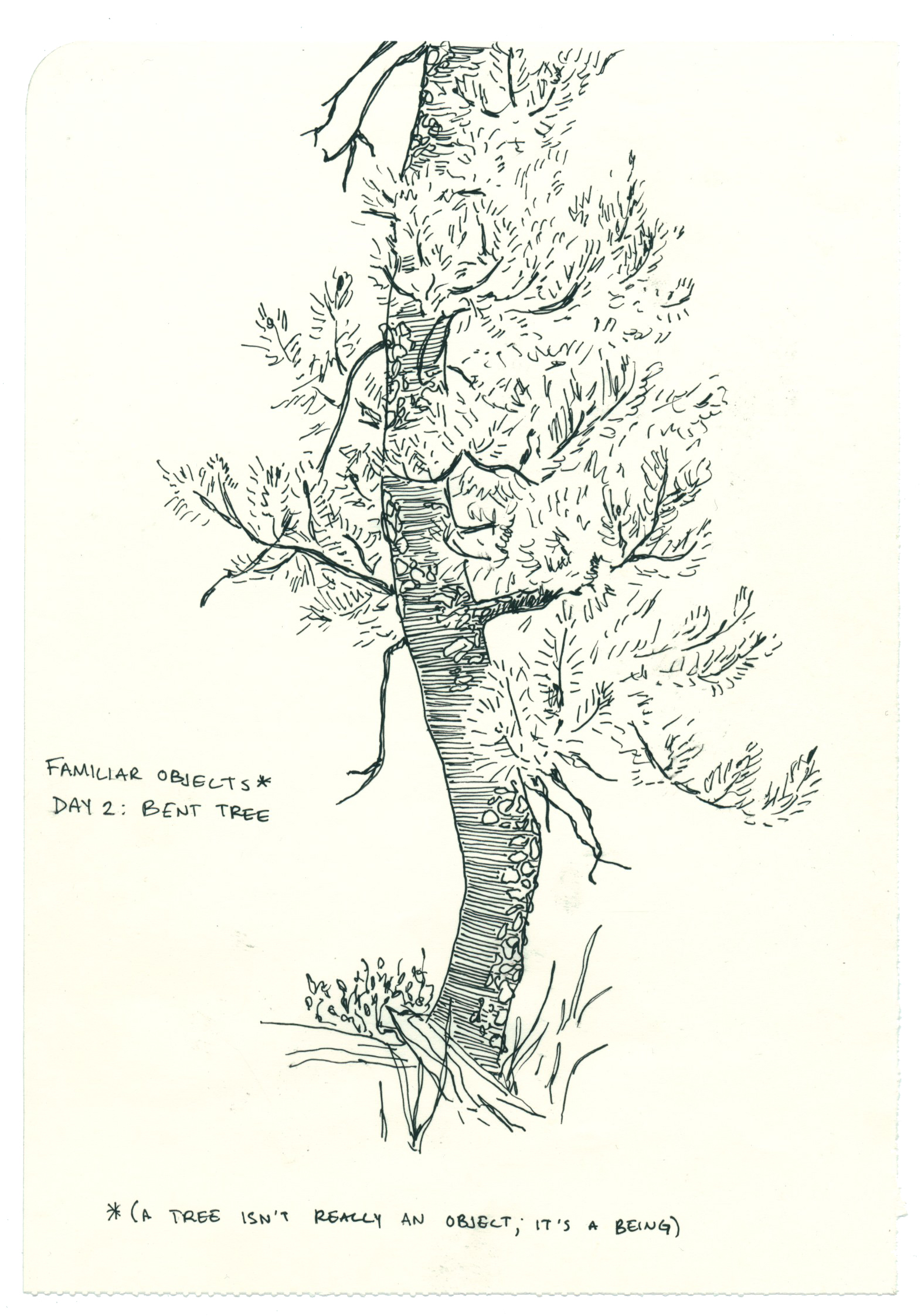 Day 2: Tree