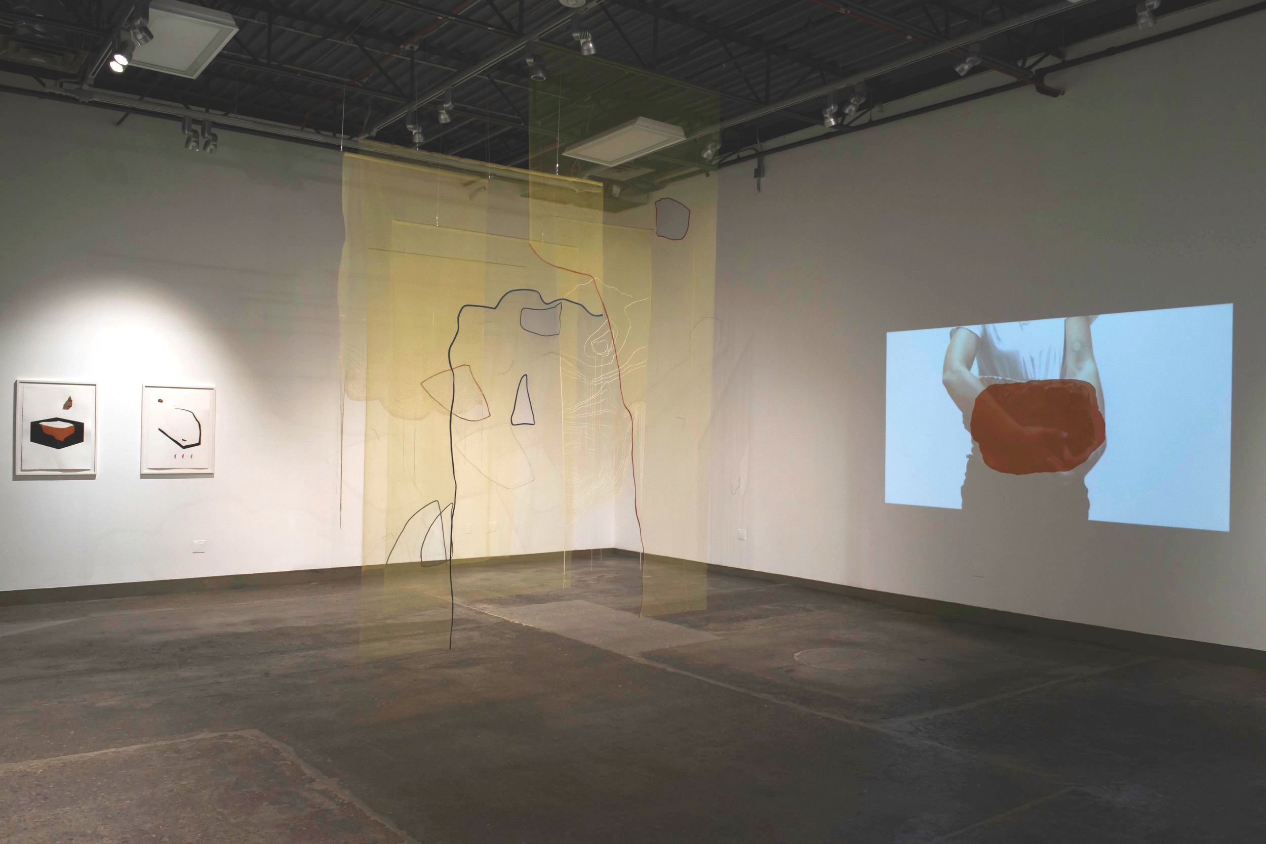   Like a _______  (MFA Thesis Exhibition), 2019  Installation view : ASU Step Gallery  Image Credit: Ryan Parra 