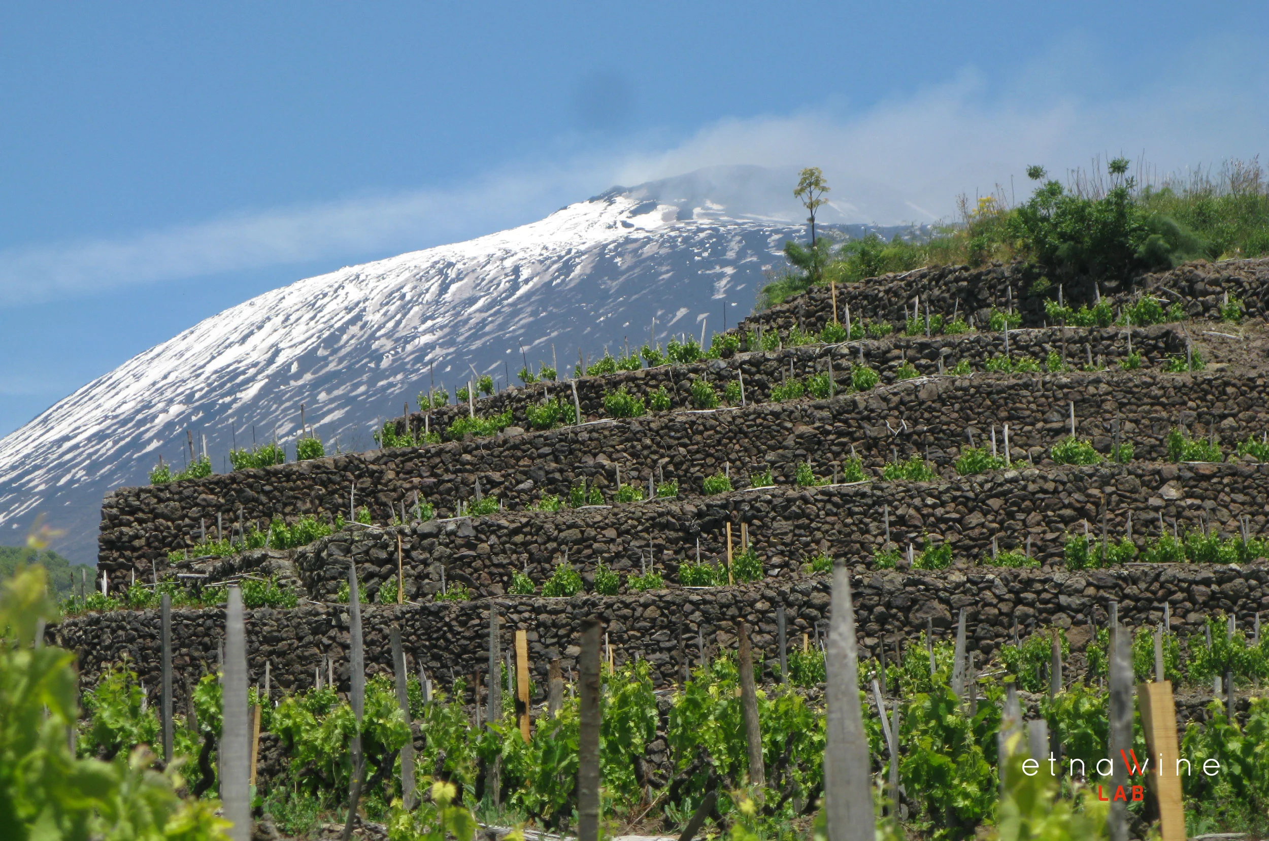 https://images.squarespace-cdn.com/content/v1/52f15463e4b0e937909a0e18/1420476369463-1GSW2T2FIT9WJ0SC8N75/ETNA-WINE-LAB_firma-foto_20.jpg?format=2500w