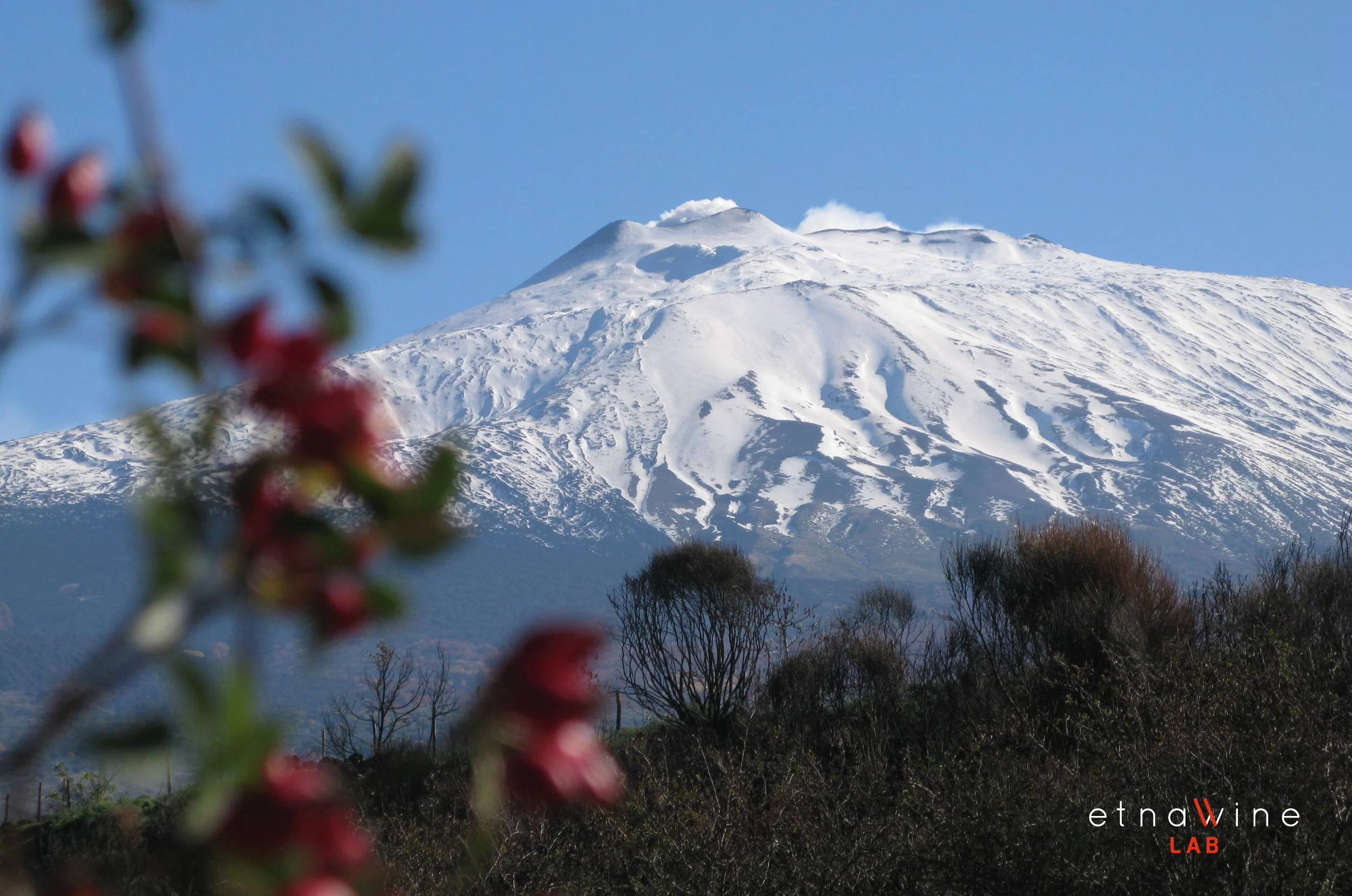 ETNA-WINE-LAB_firma-foto_33.jpg