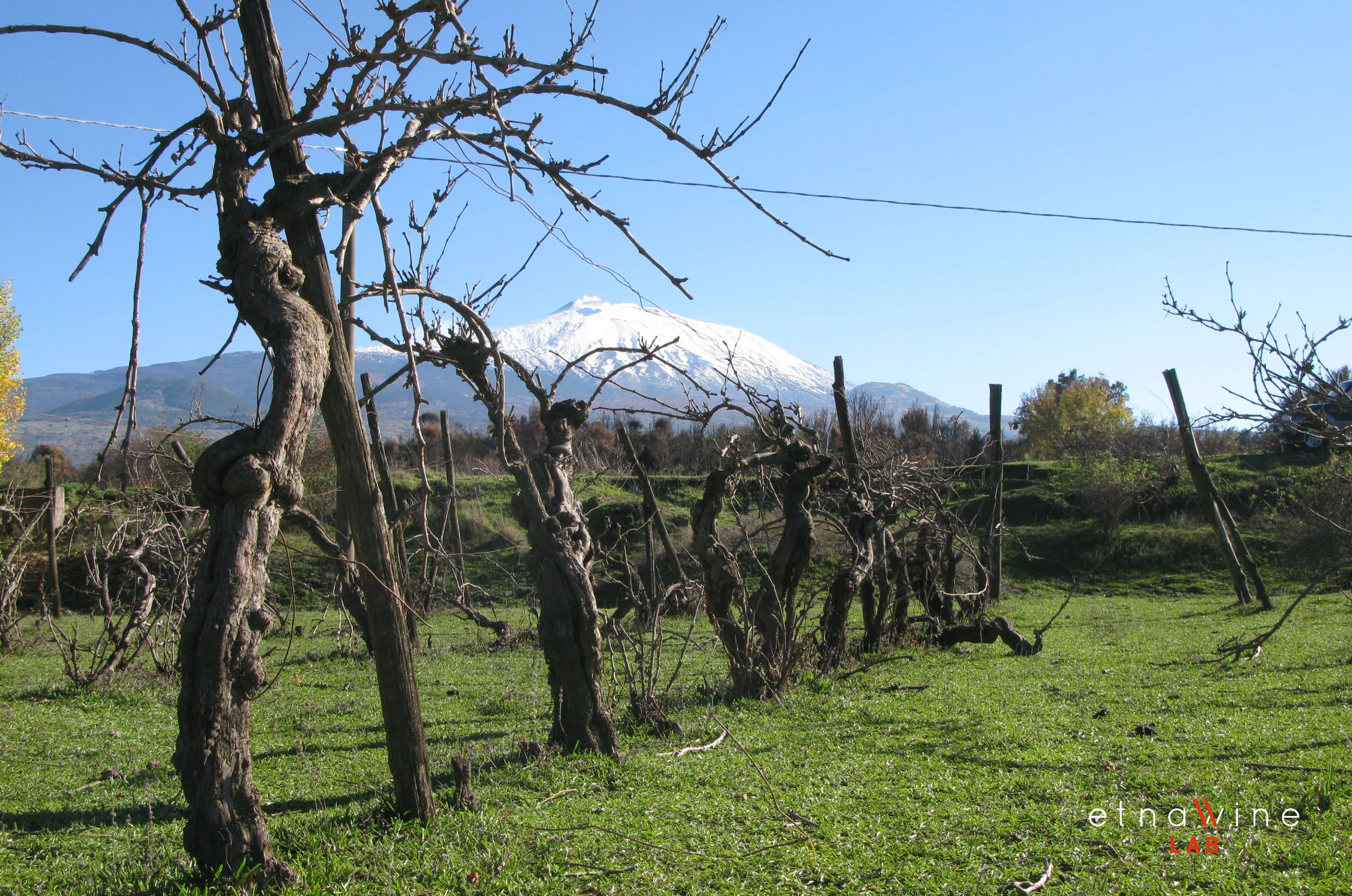 ETNA-WINE-LAB_firma-foto_37.jpg