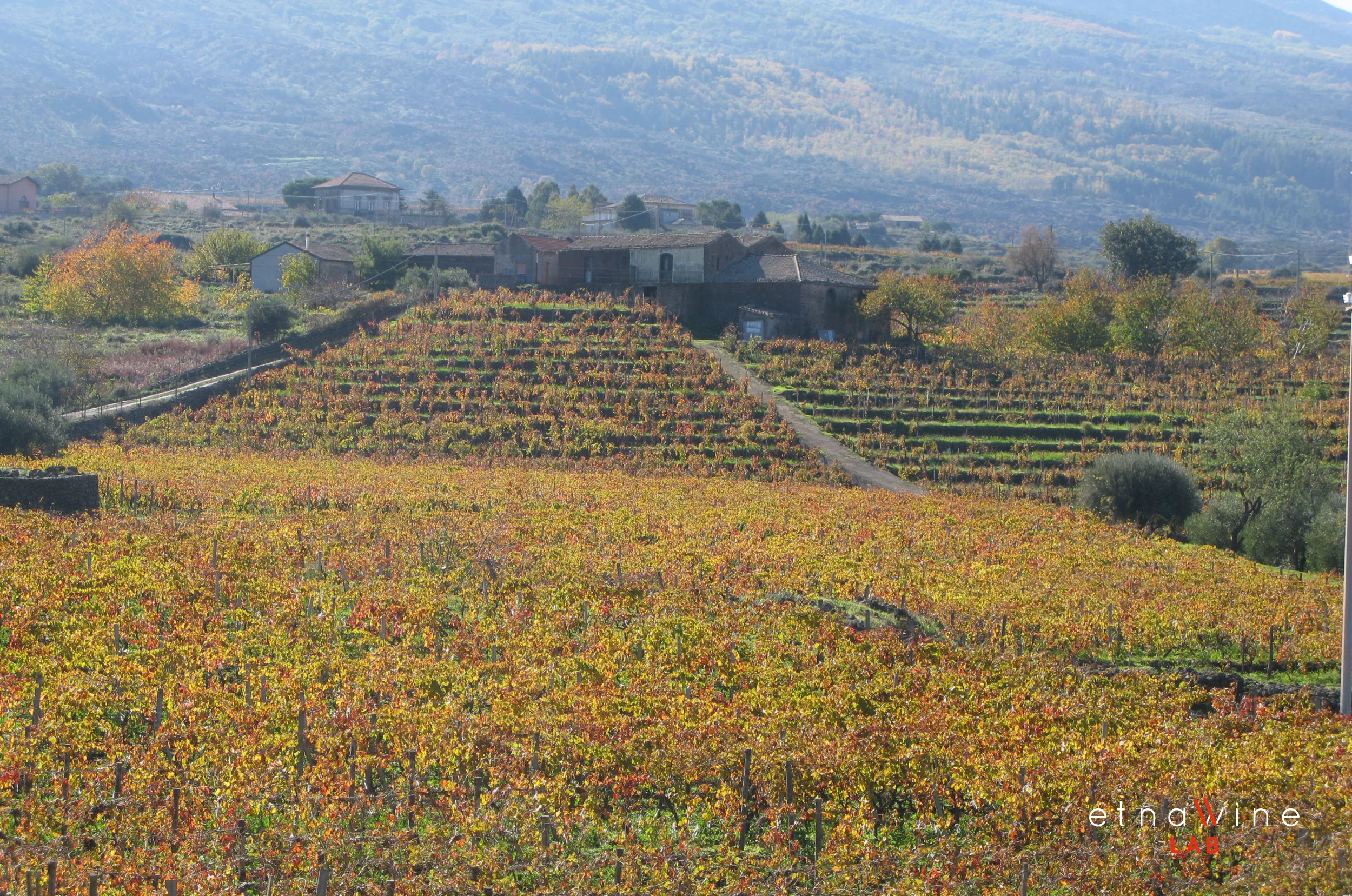 ETNA-WINE-LAB_firma-foto_32.jpg