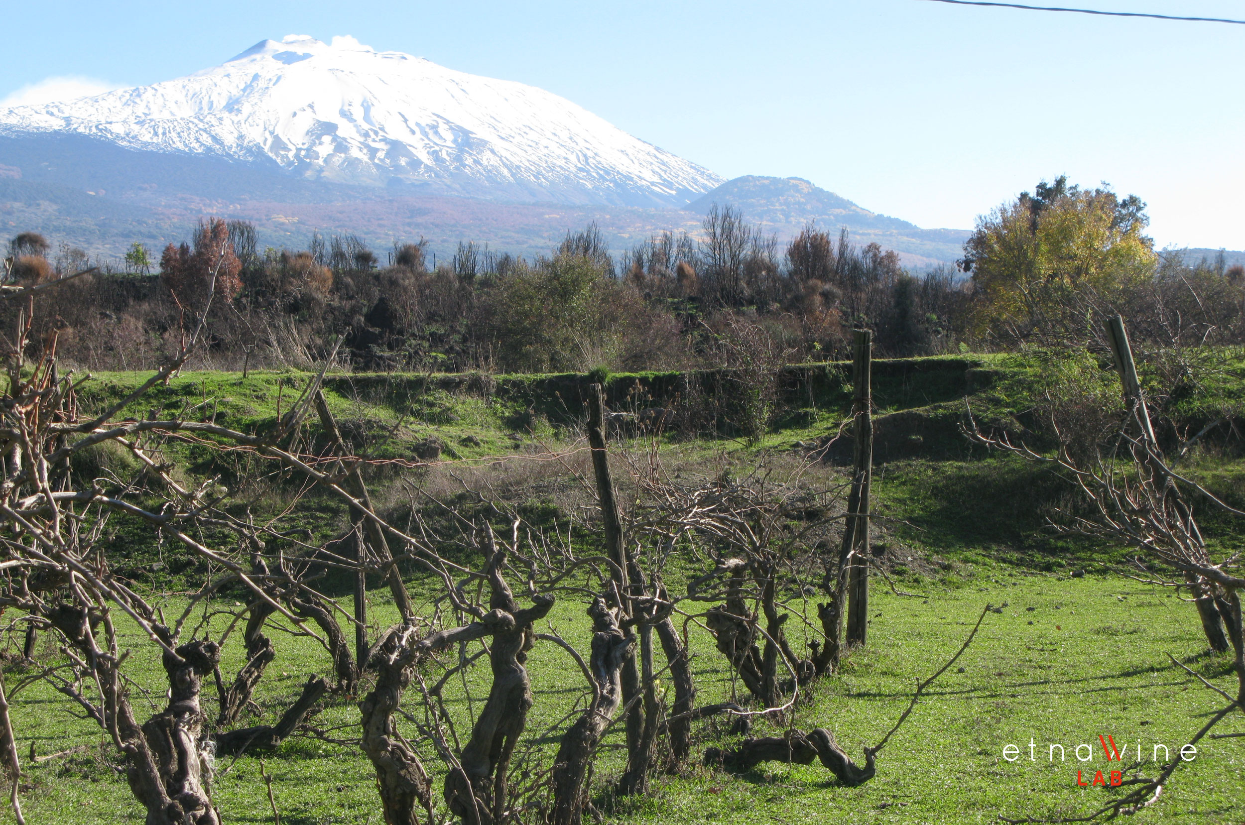 ETNA-WINE-LAB_firma-foto_36.jpg