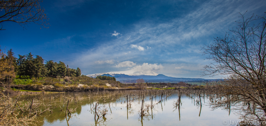  Foto di Jay Cavallaro -&nbsp; jaycavallaro.com  