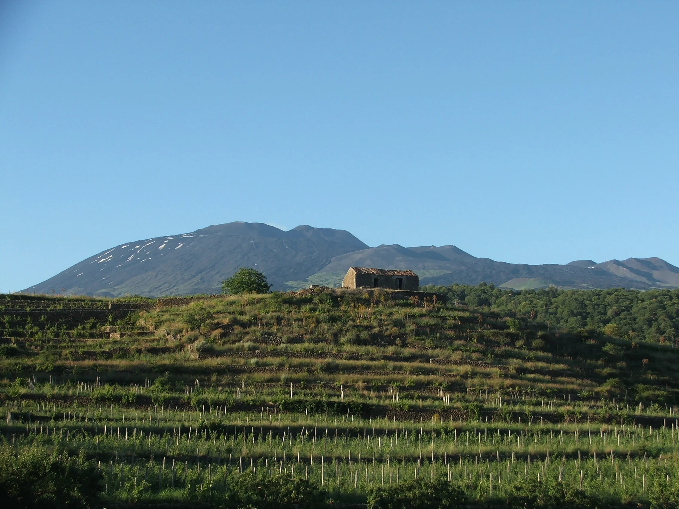 DSCF4056.JPG