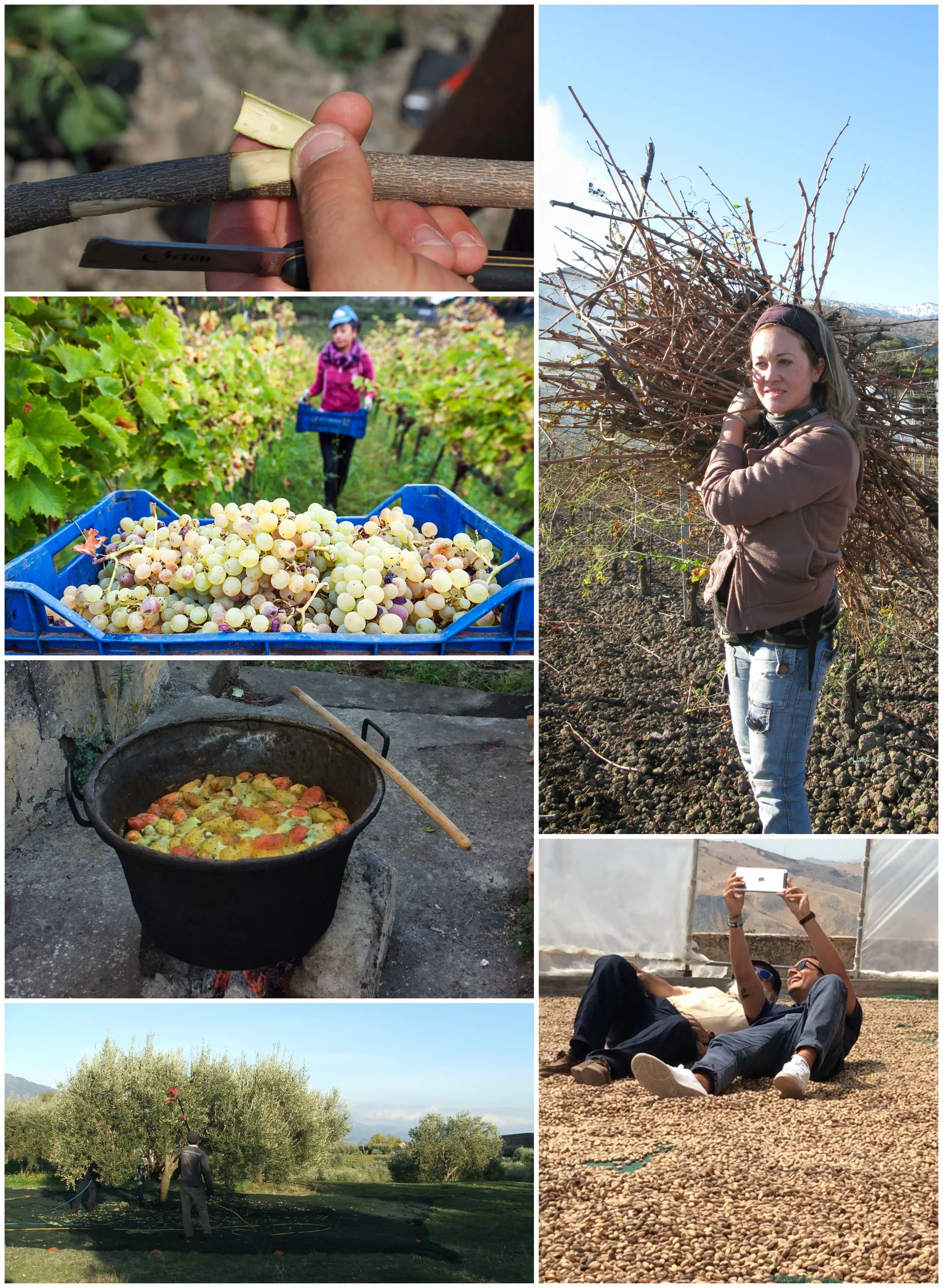 BeFunky Collage1.jpg