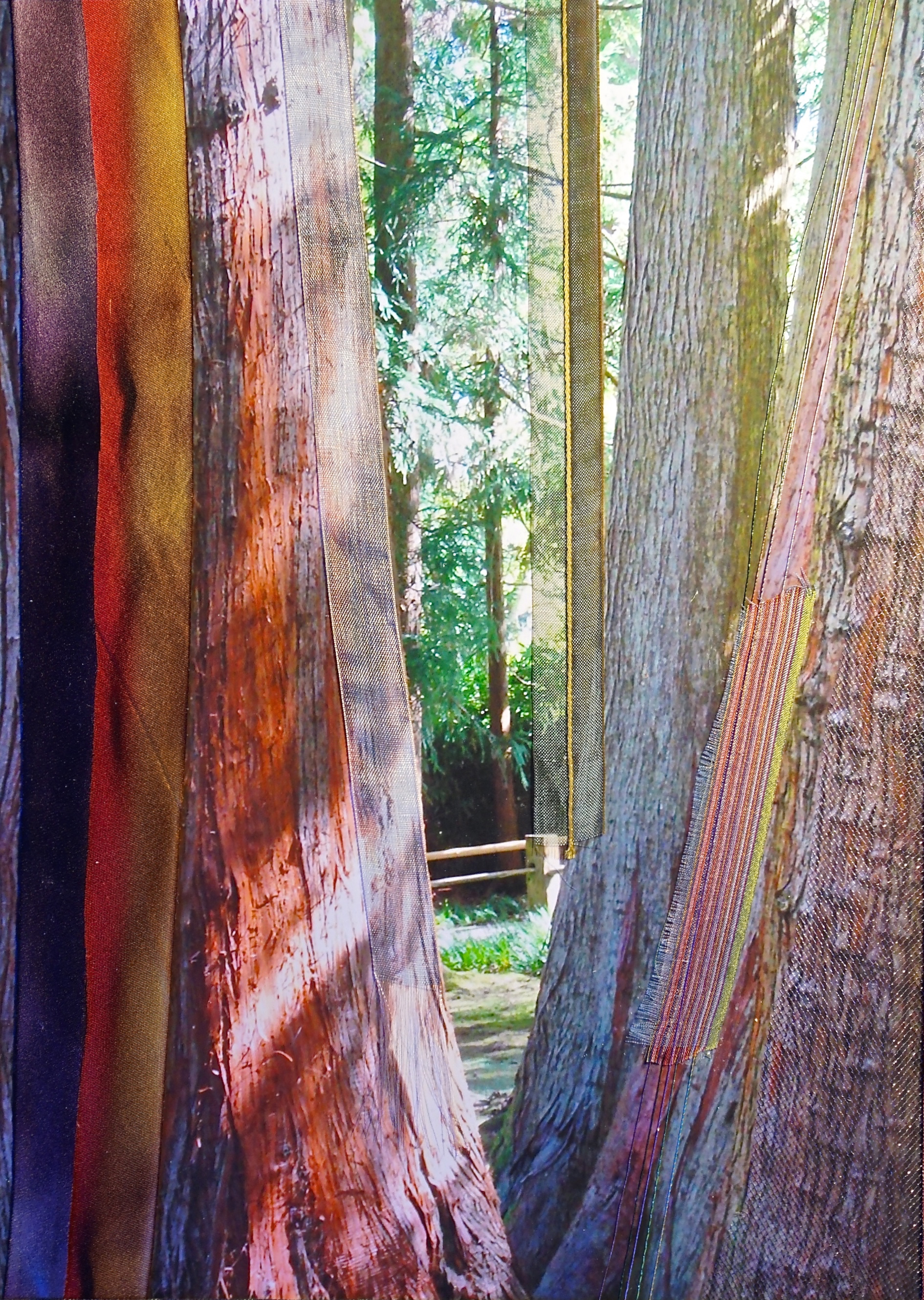   Nature Interlaced Series   Hide and Seek  15" x 18"&nbsp;  Paper and Silks  2015 