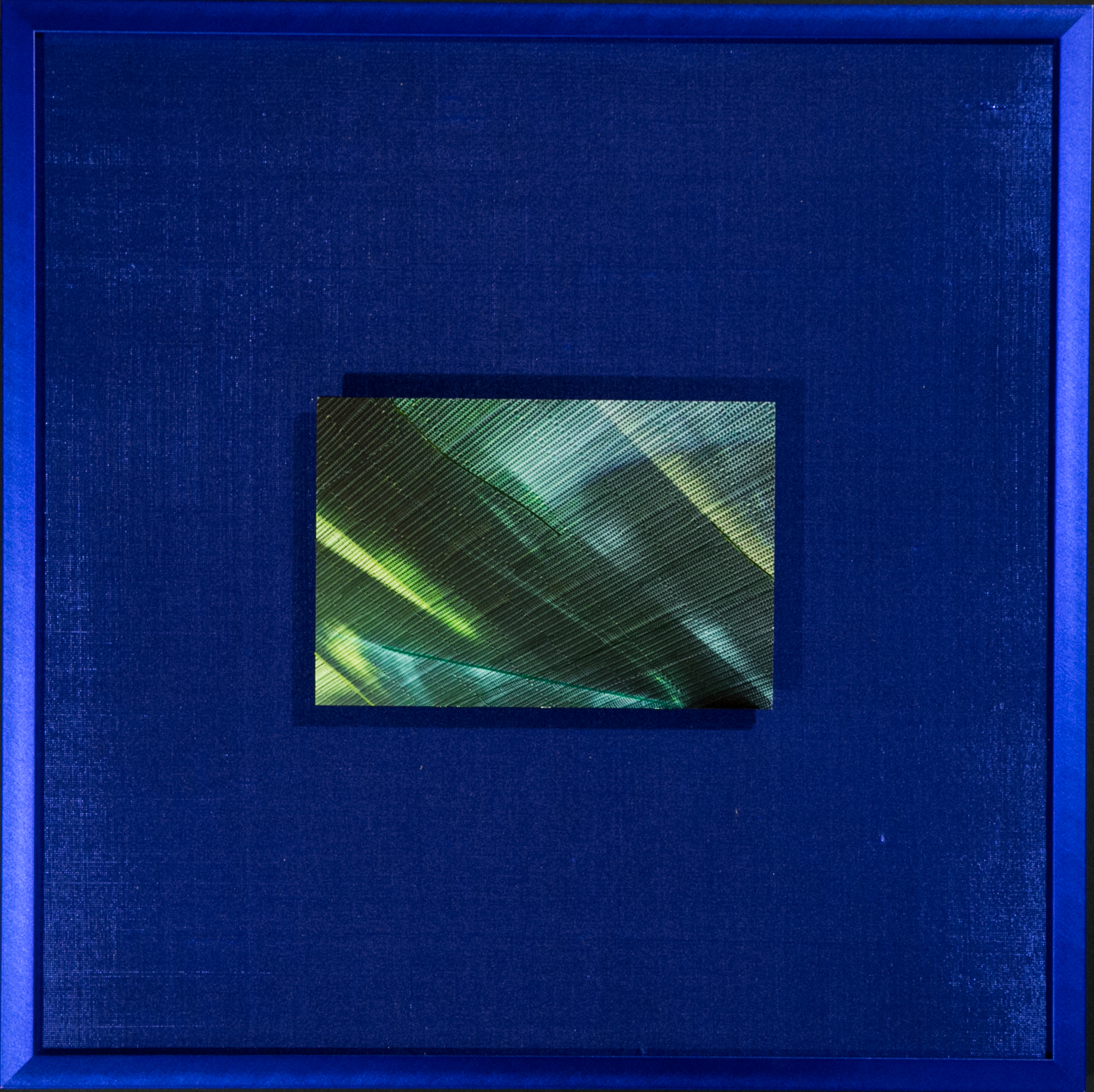   Chroma Series    Cobalt   14” Sq  Metal Print with Silks  2018 