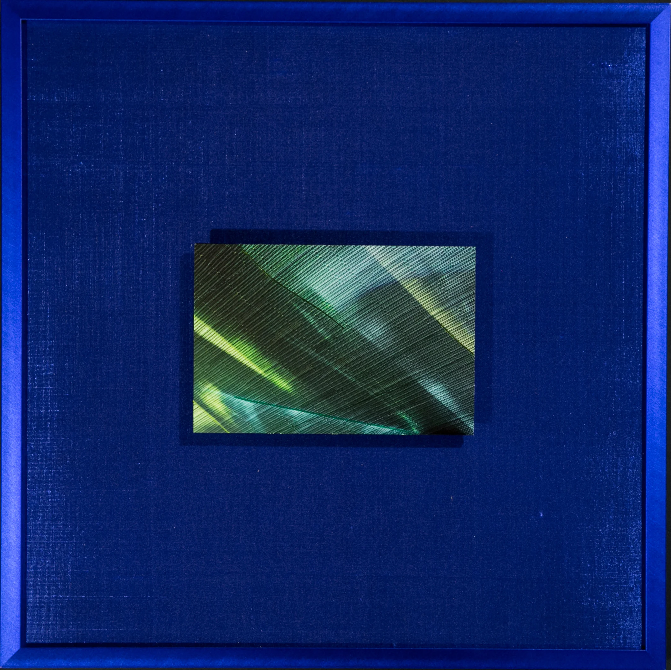 Chroma Series Cobalt 14” Sq Metal Print with Silks 2018