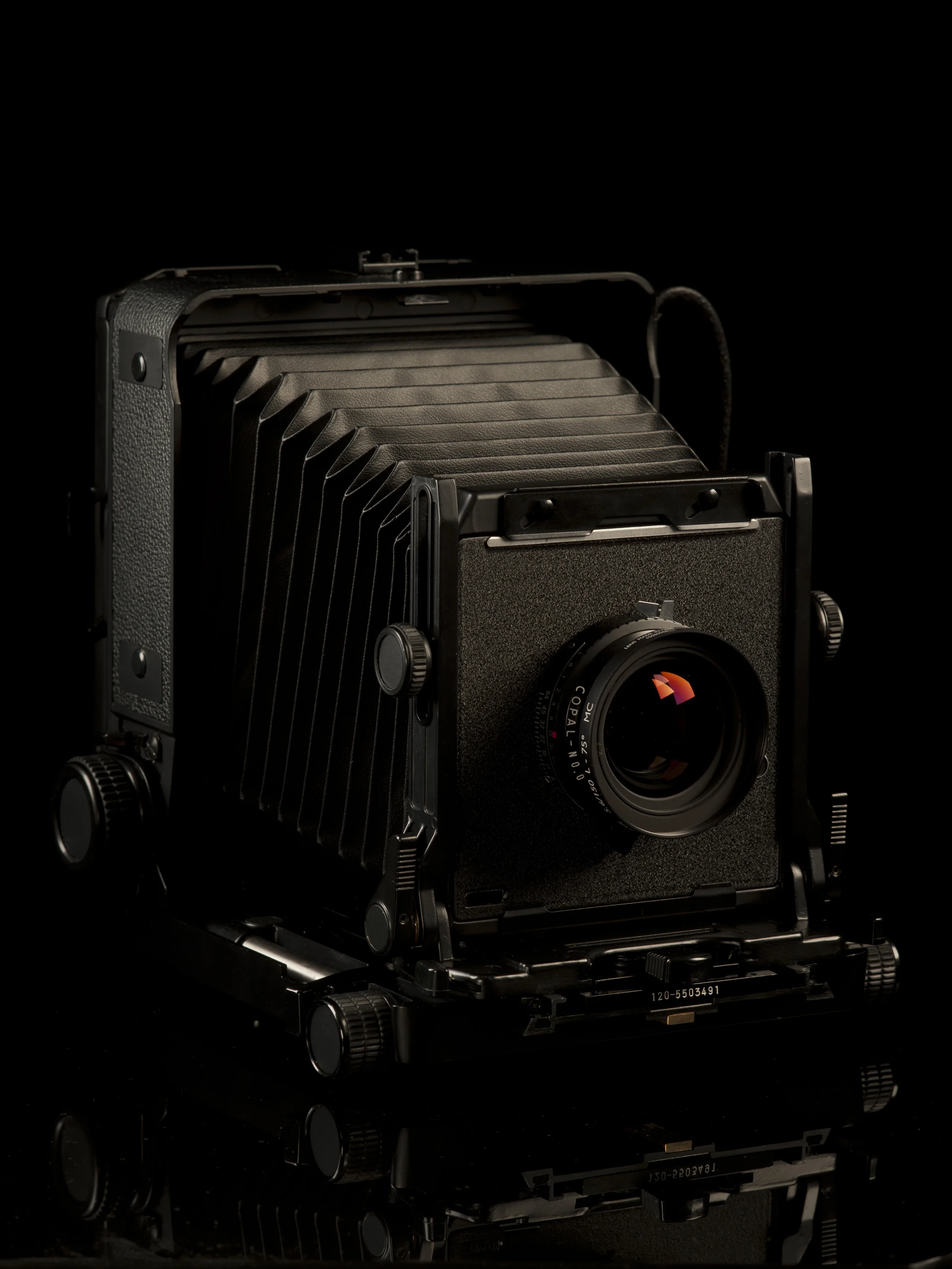 hollie - products 16011.jpg