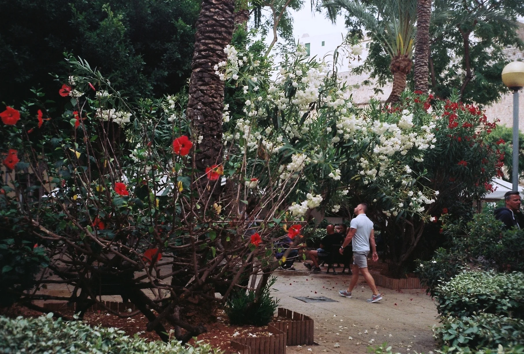 IbizaFilm_182.jpg