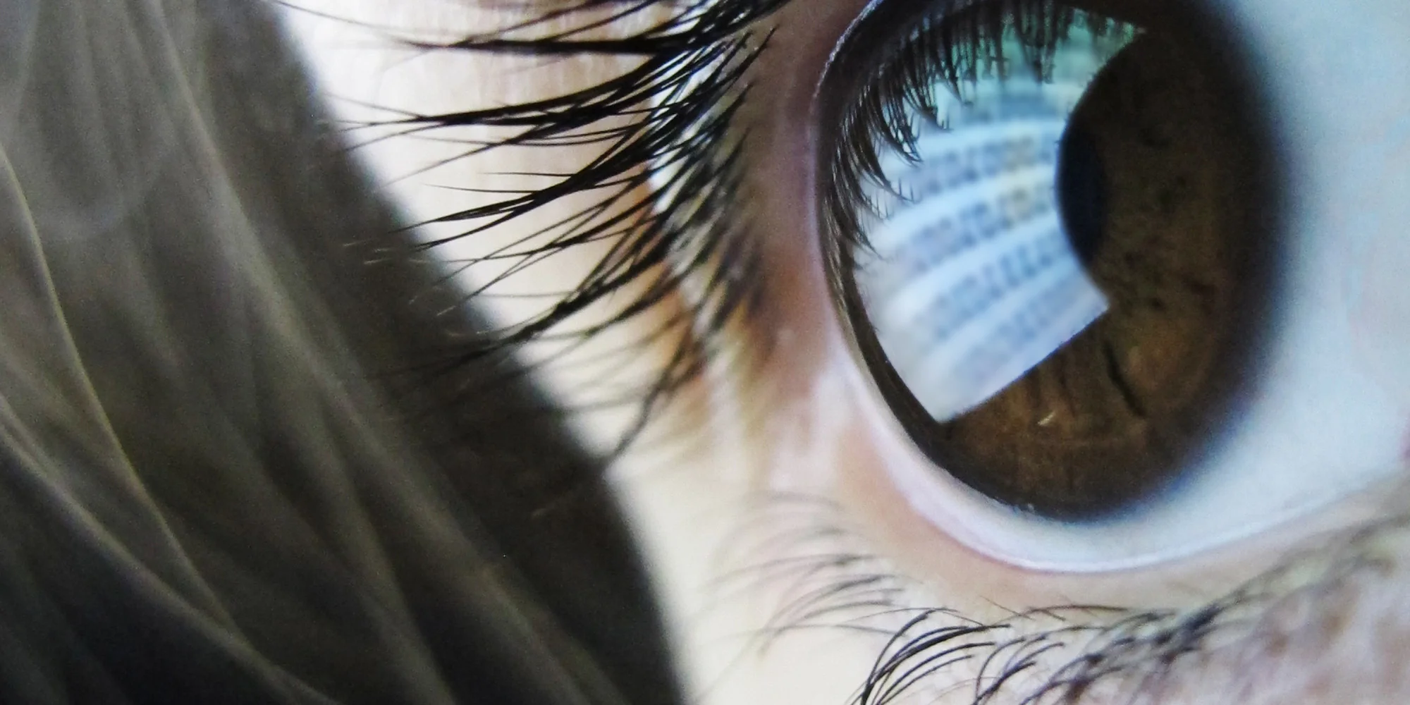 Accommodating Disabilities with Web Accessible Content