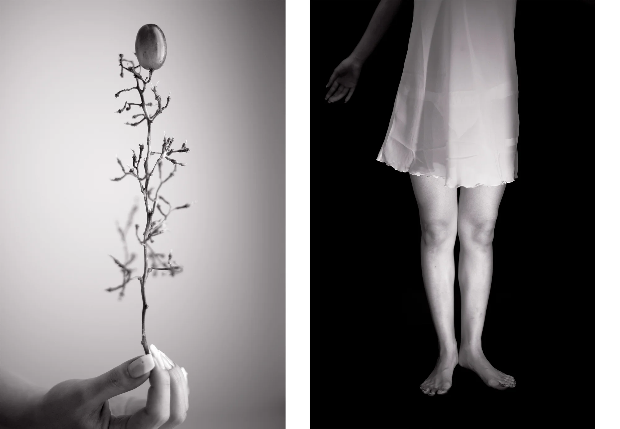 Untitled, diptych (2012) two archival pigment prints 18" x 12" each