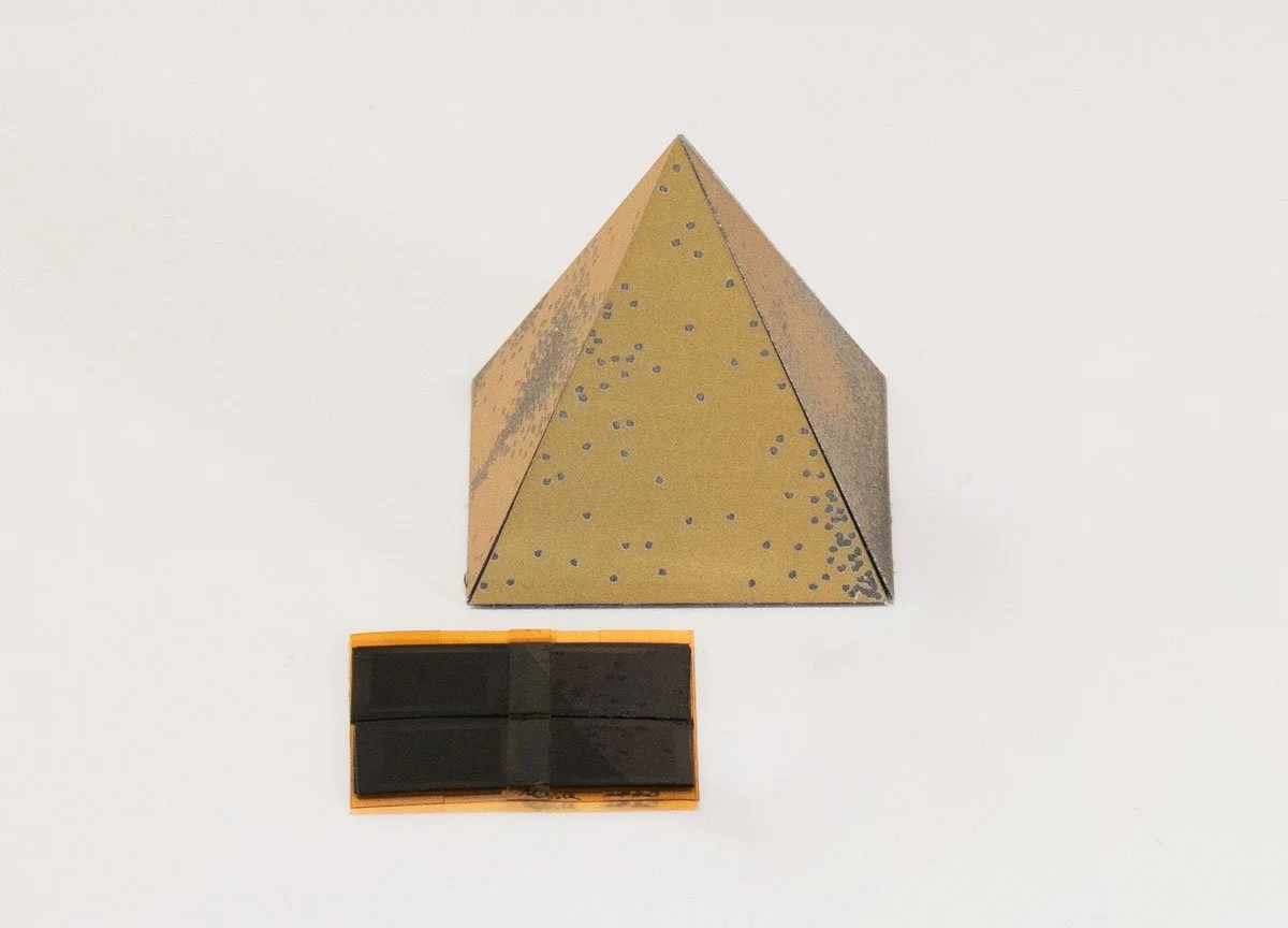 Image Courtesy: Eduardo Kac and Moon Gallery Foundation