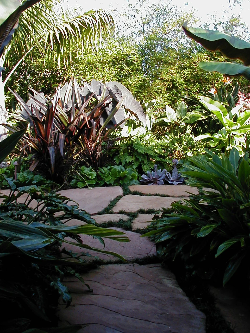 Image003.jpg