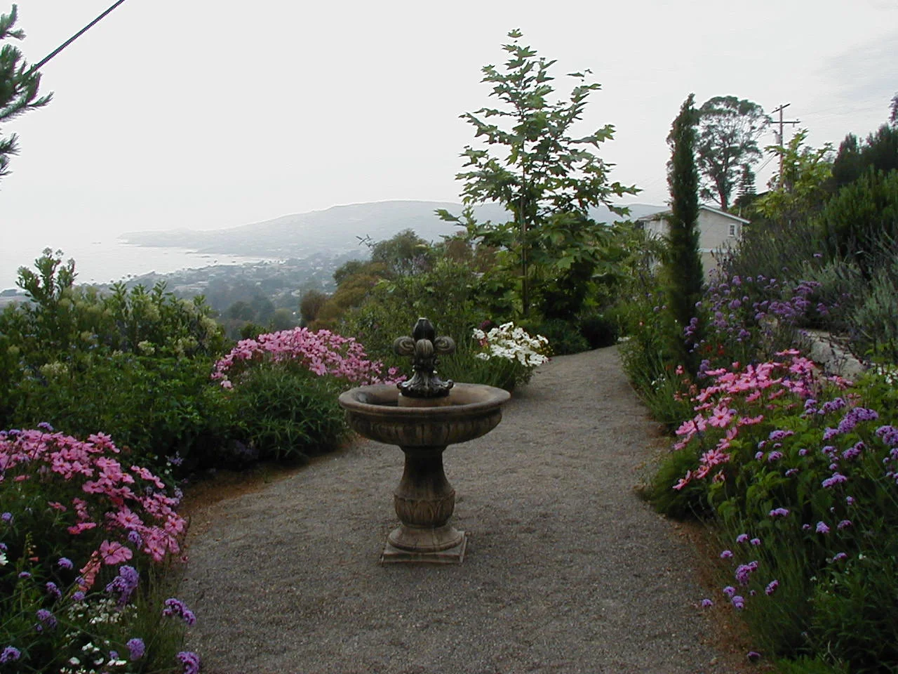Hillside Garden