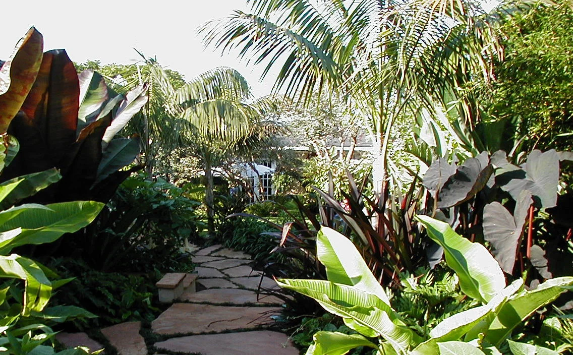 Image002.jpg