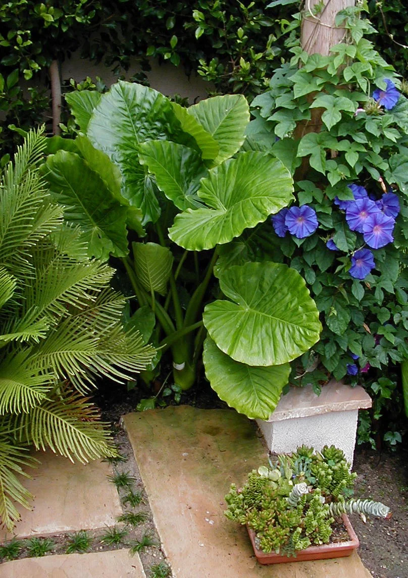 Image065.jpg