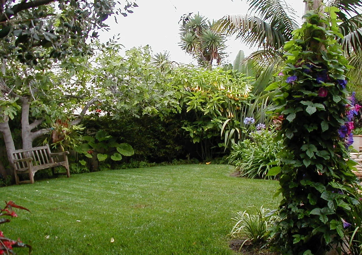 Image063.jpg