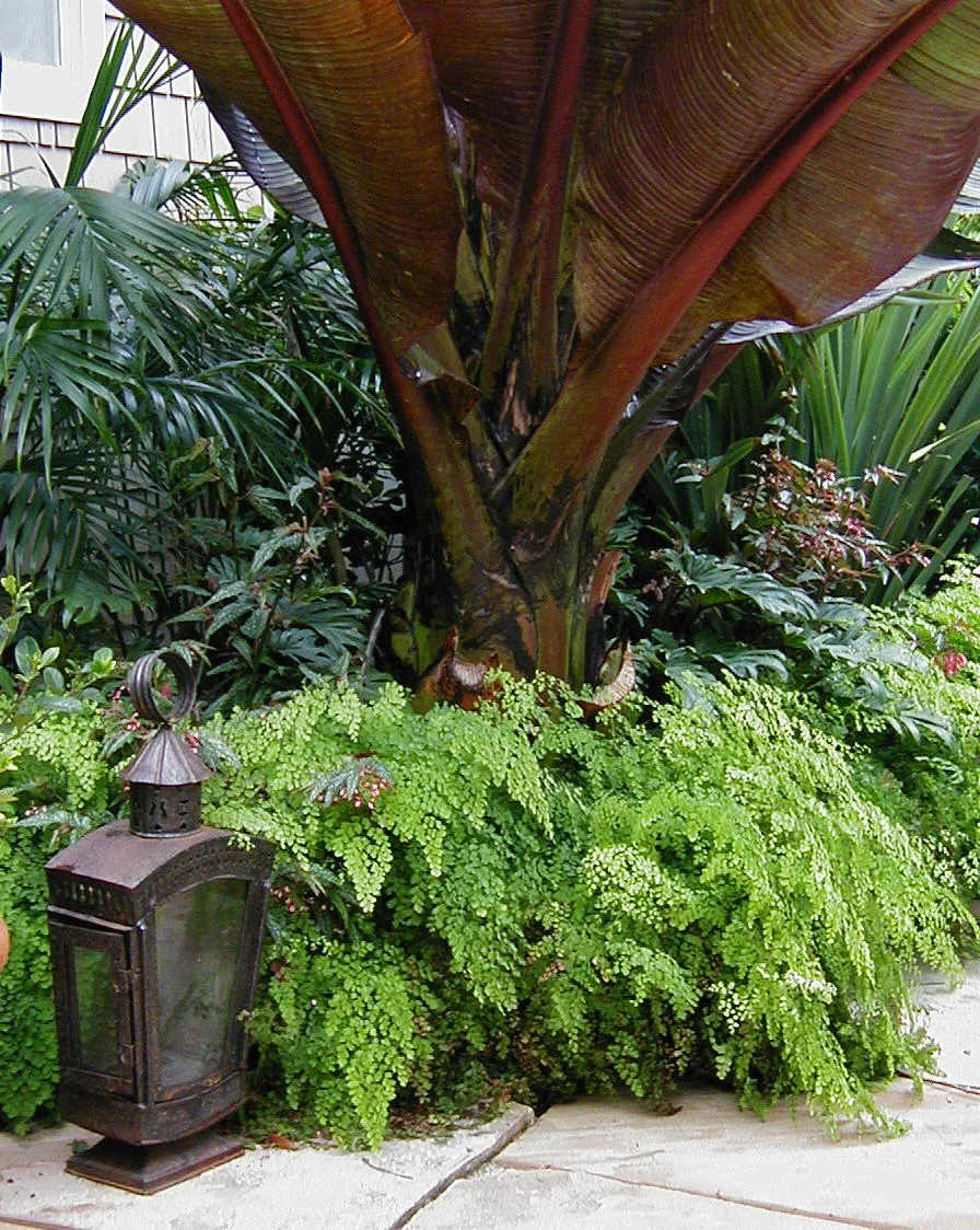 Image061.jpg