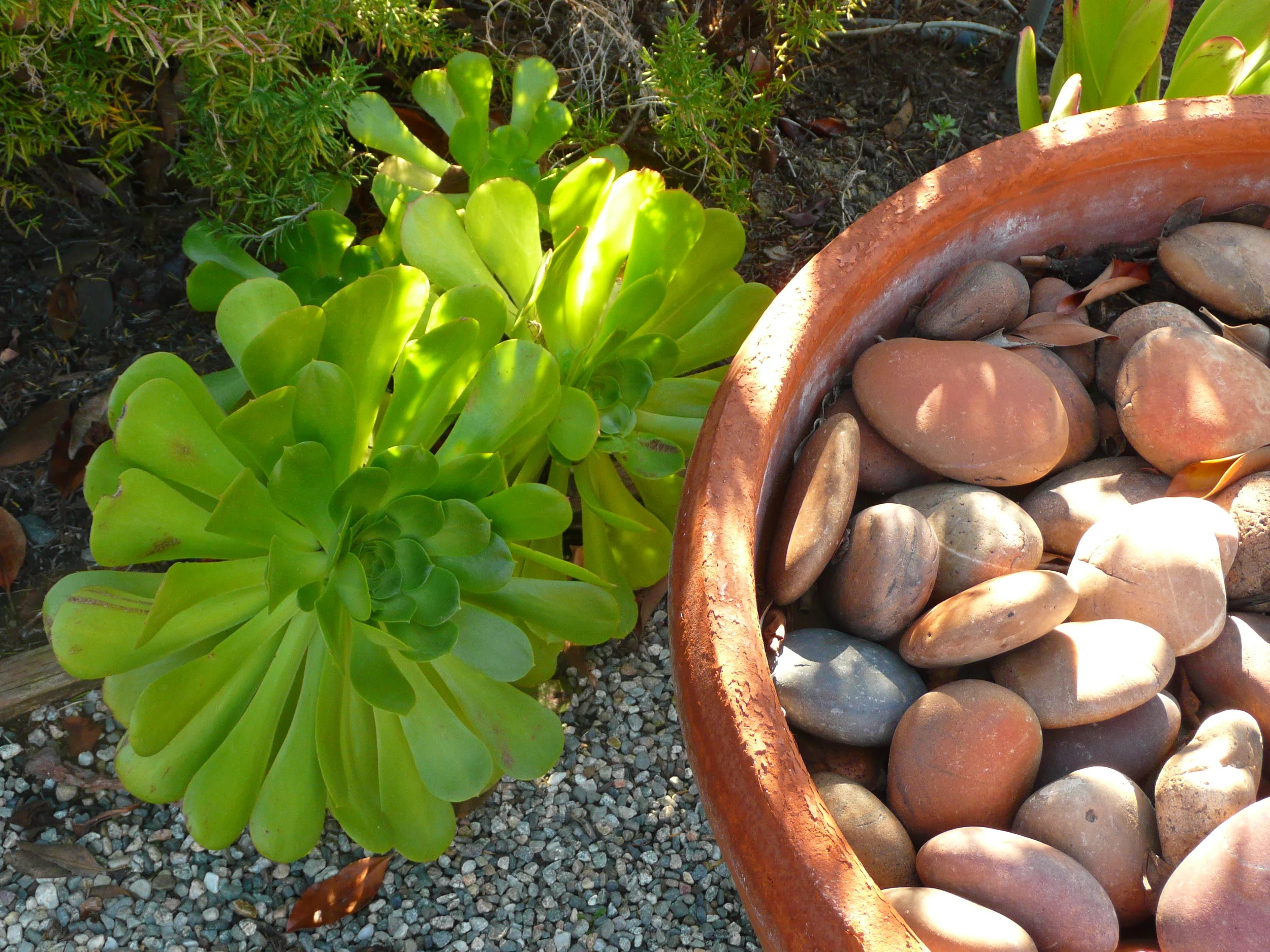 P1040554.JPG