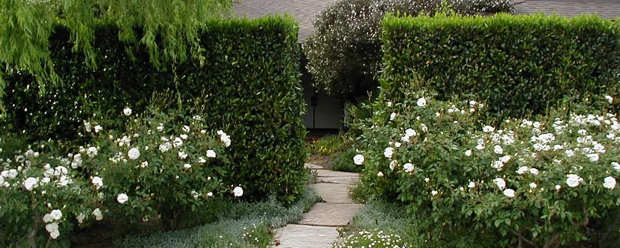 P4260015_2.JPG