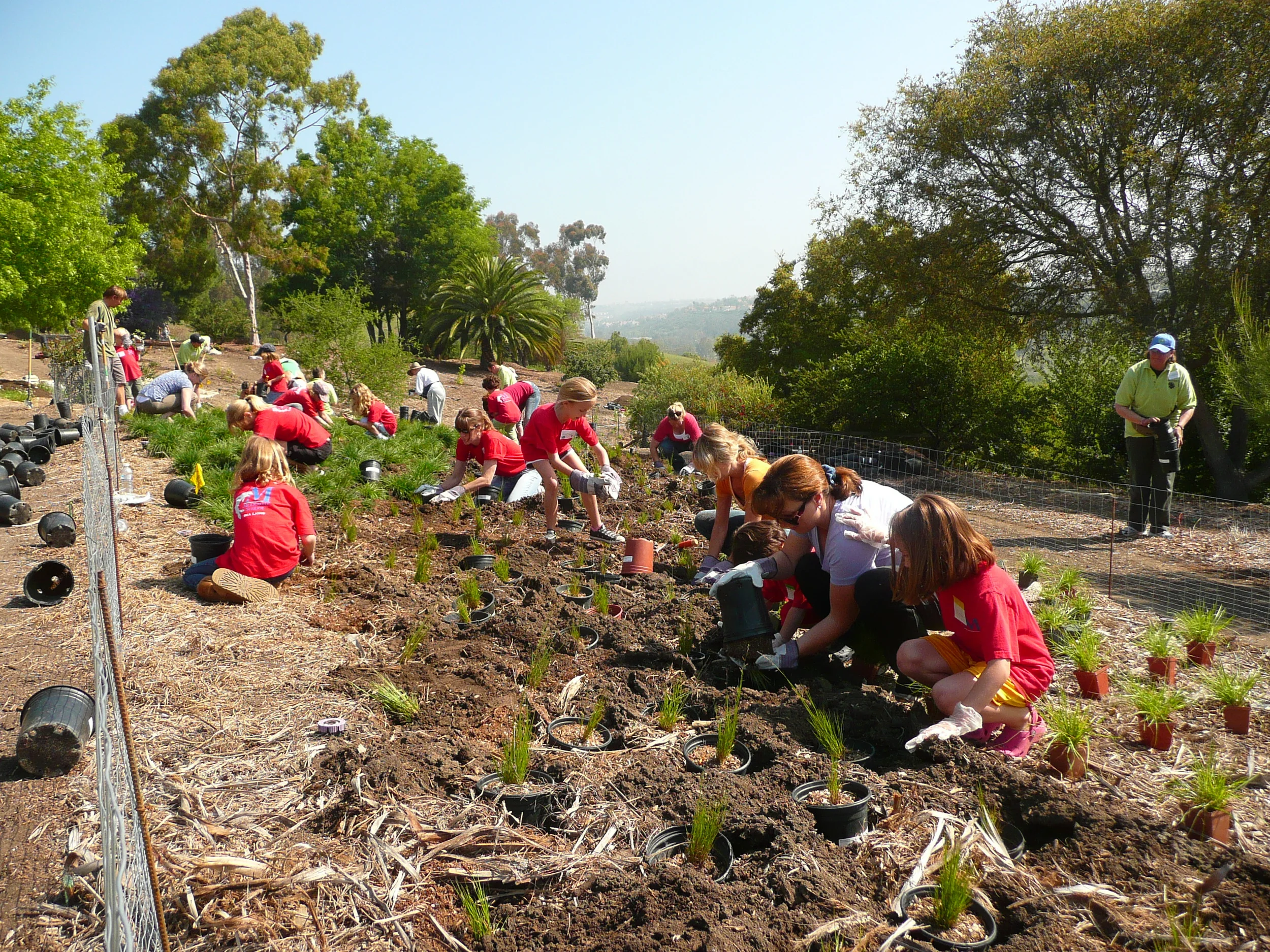 Volunteers planting the grassland.