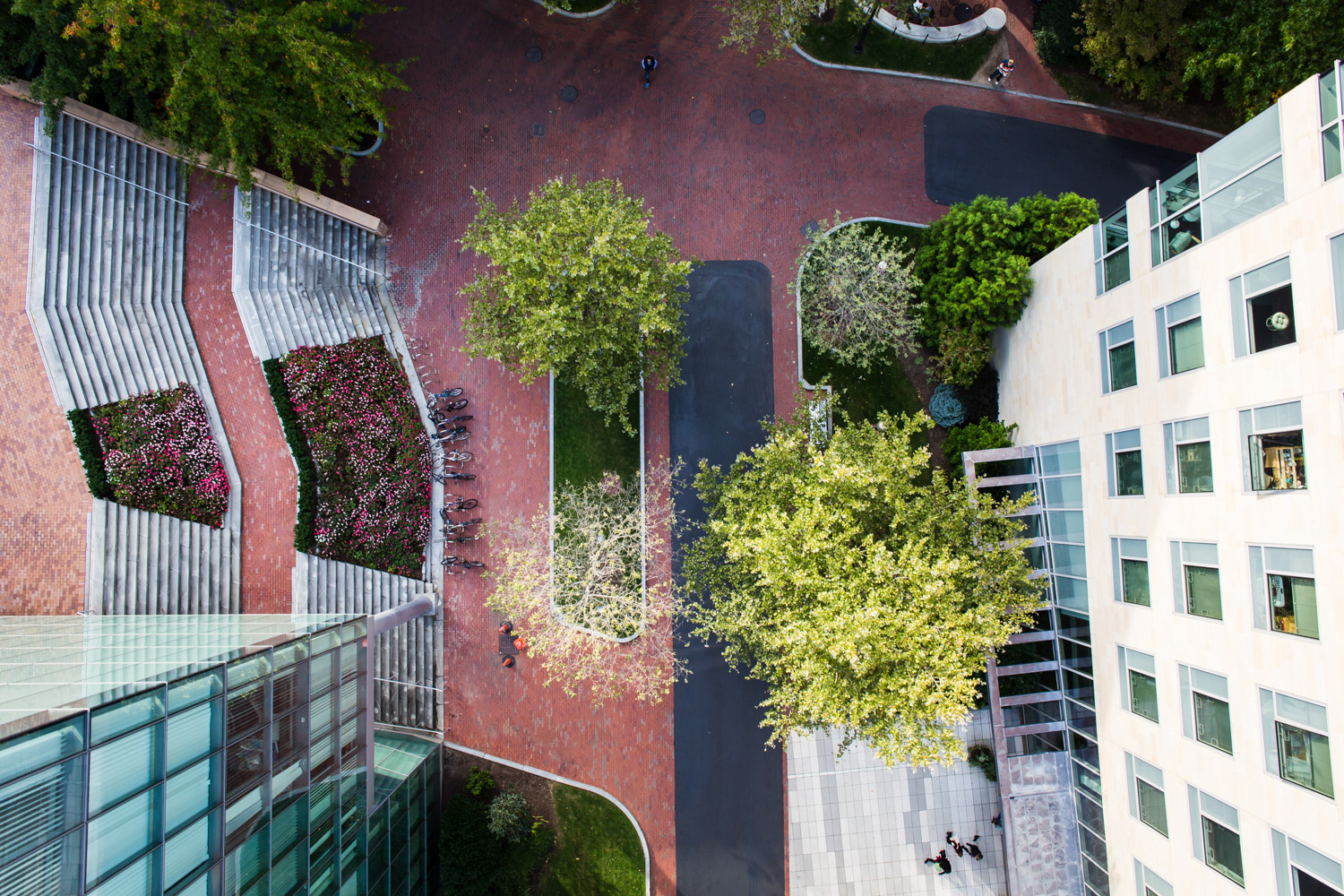 MIT Aerial Photograph Boston Drone