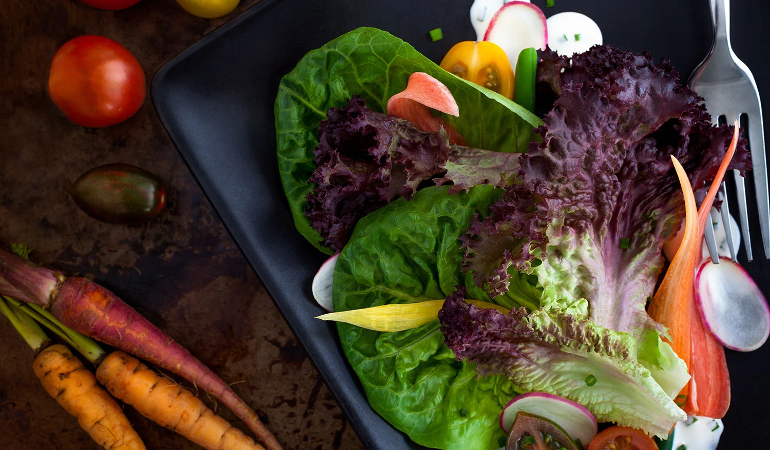 Gorgeous leafy greens for the food photo shoot.