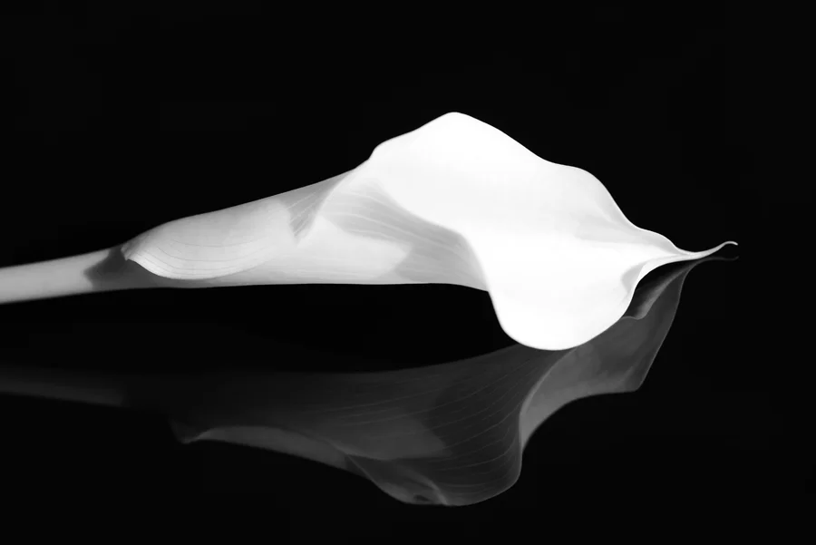 Austin School of Photography