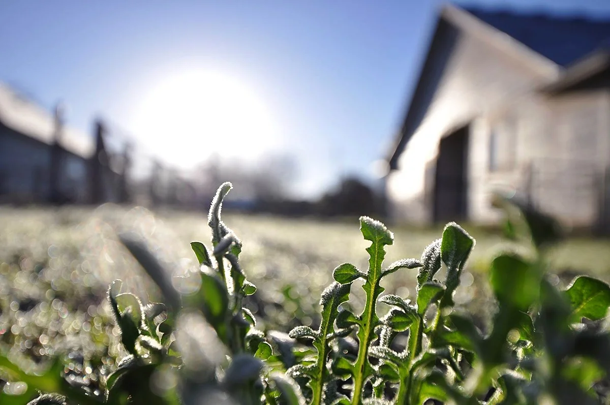 ASOP Austin School of Photography