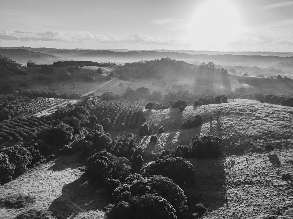 ASOP Austin School of Photography