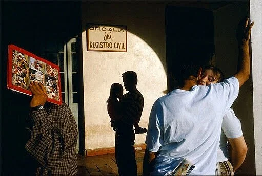 Alex Webb