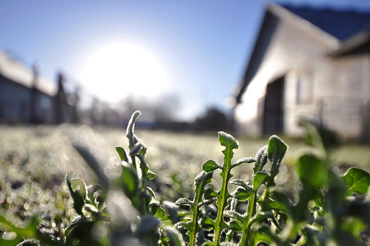 Marina8349372598 copy 2.jpg