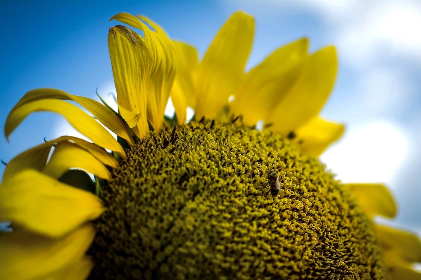 ASOP Austin School of Photography 