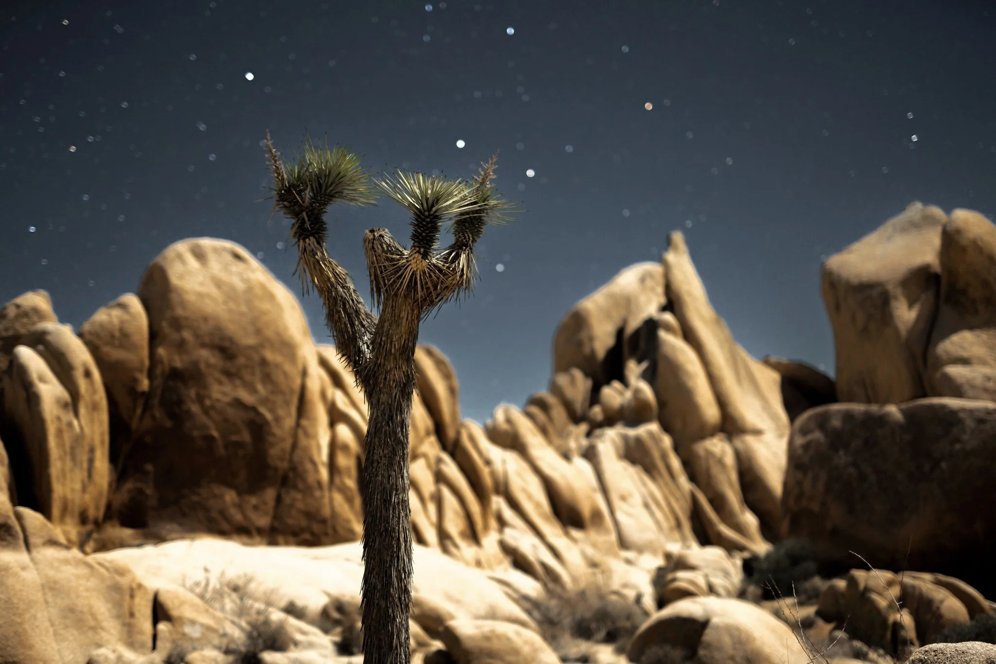 ASOP Austin School of Photography 