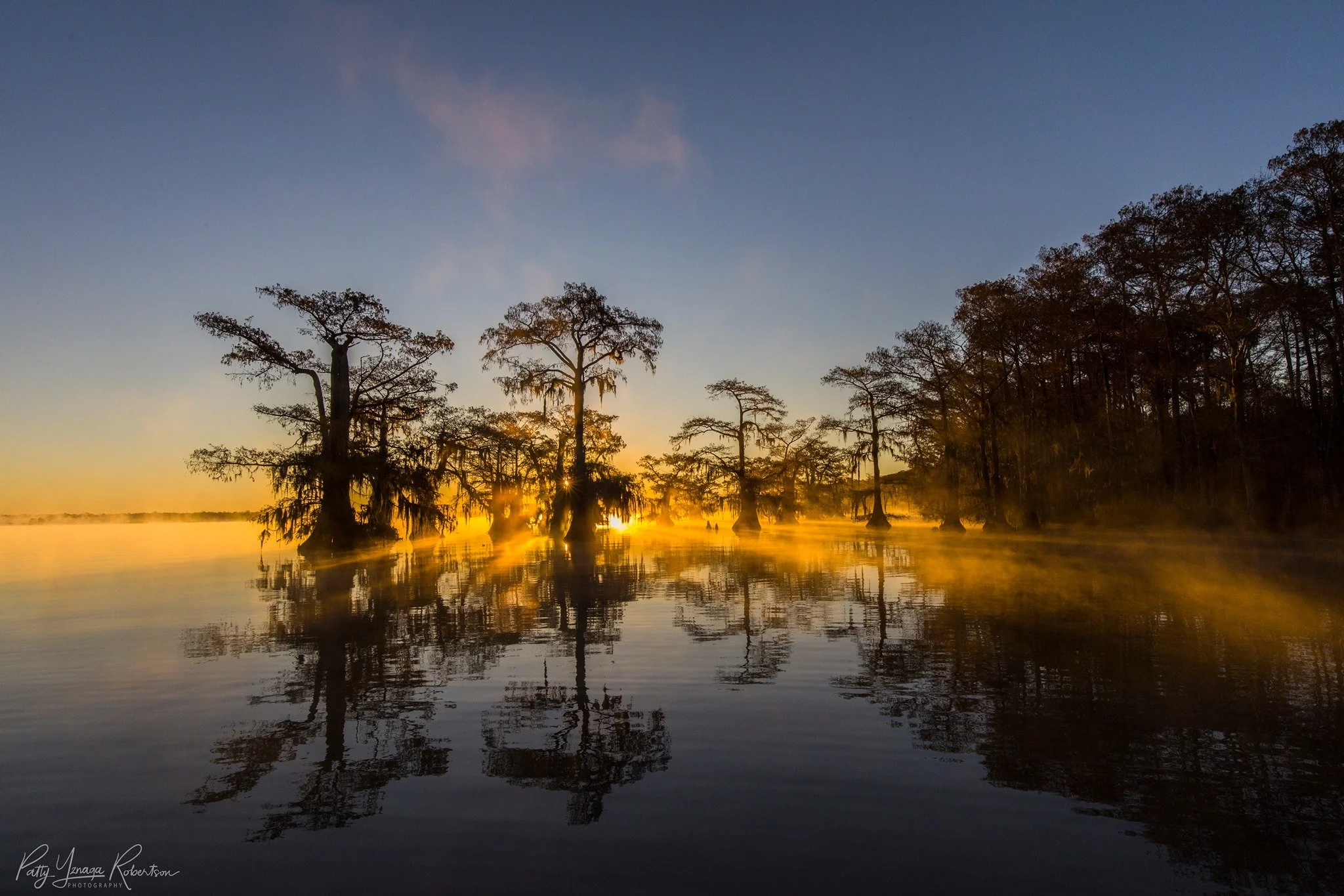 ASOP Austin School of Photography