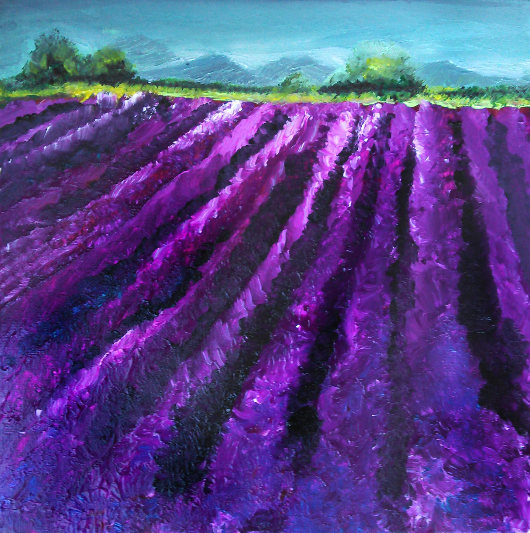 lavender_fields.jpg