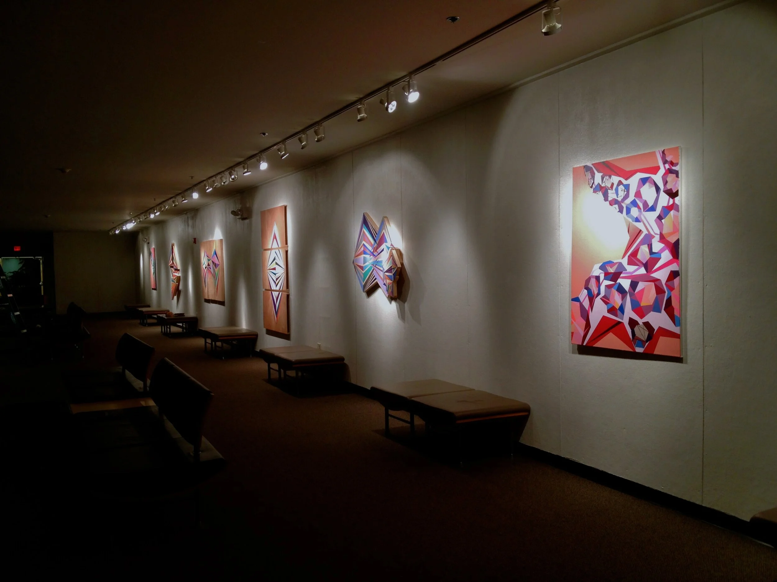 Exist, Acknowledge, Expose | Solo Exhibition | UNC Chapel Hill Union | 2013