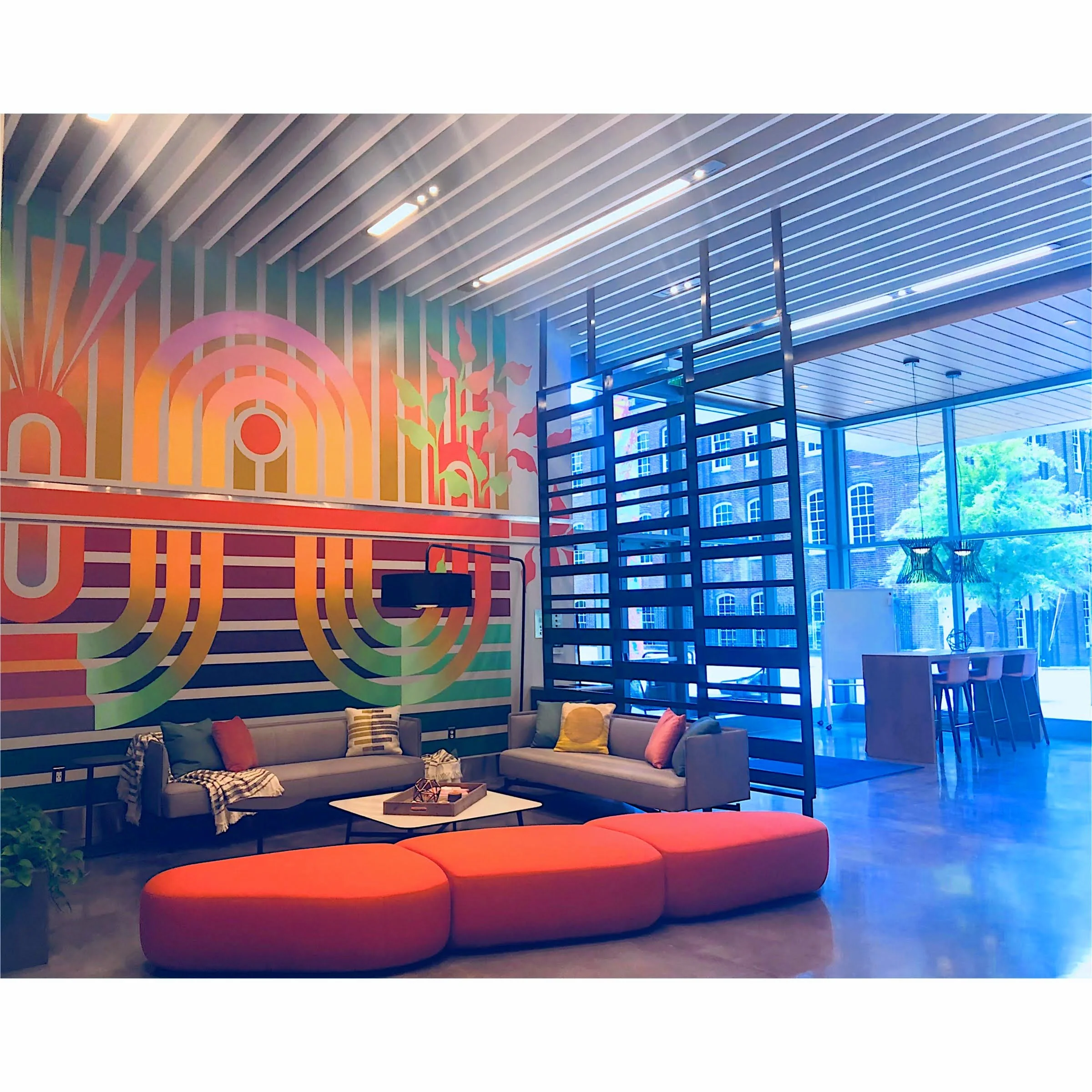 Durham ID Lobby Mural | Sunrise Serpentine  | Durham NC